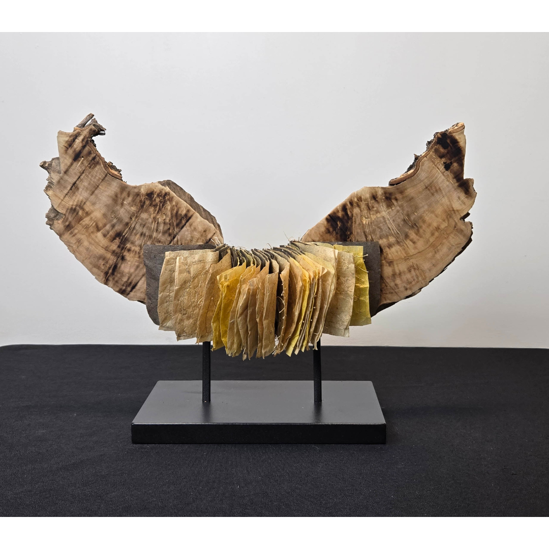 Tess Mosko Scherer gallery 9