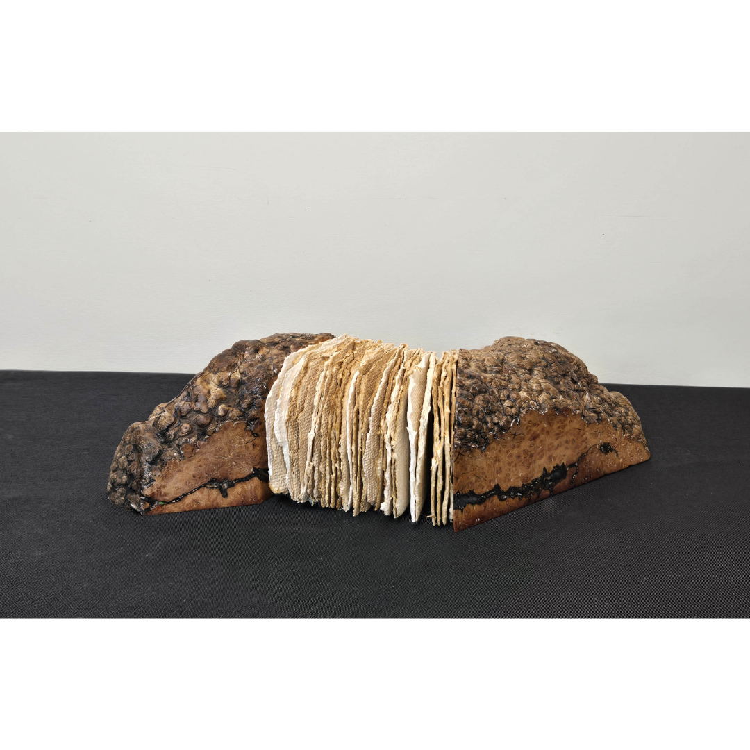 Tess Mosko Scherer gallery 10