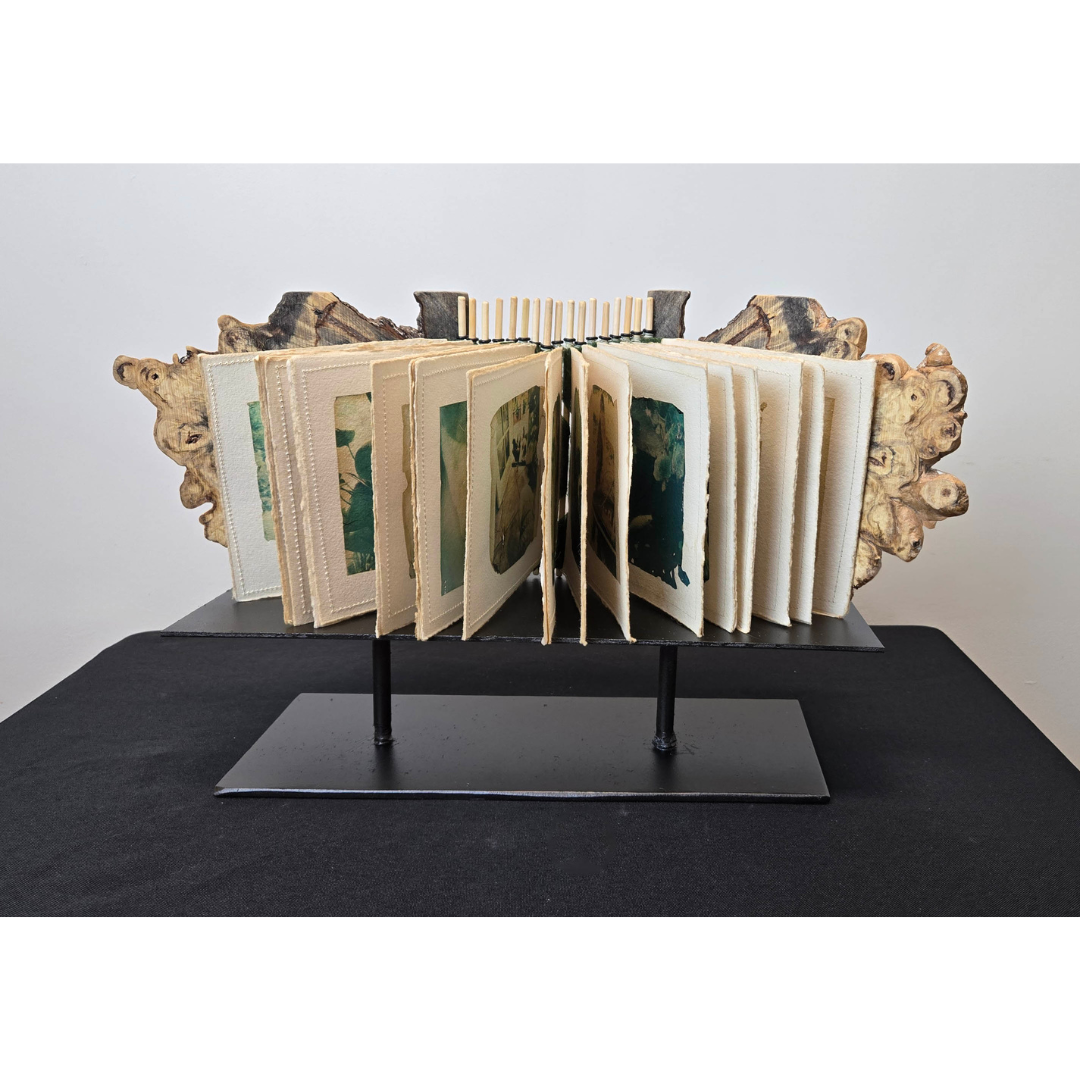 Tess Mosko Scherer gallery 11