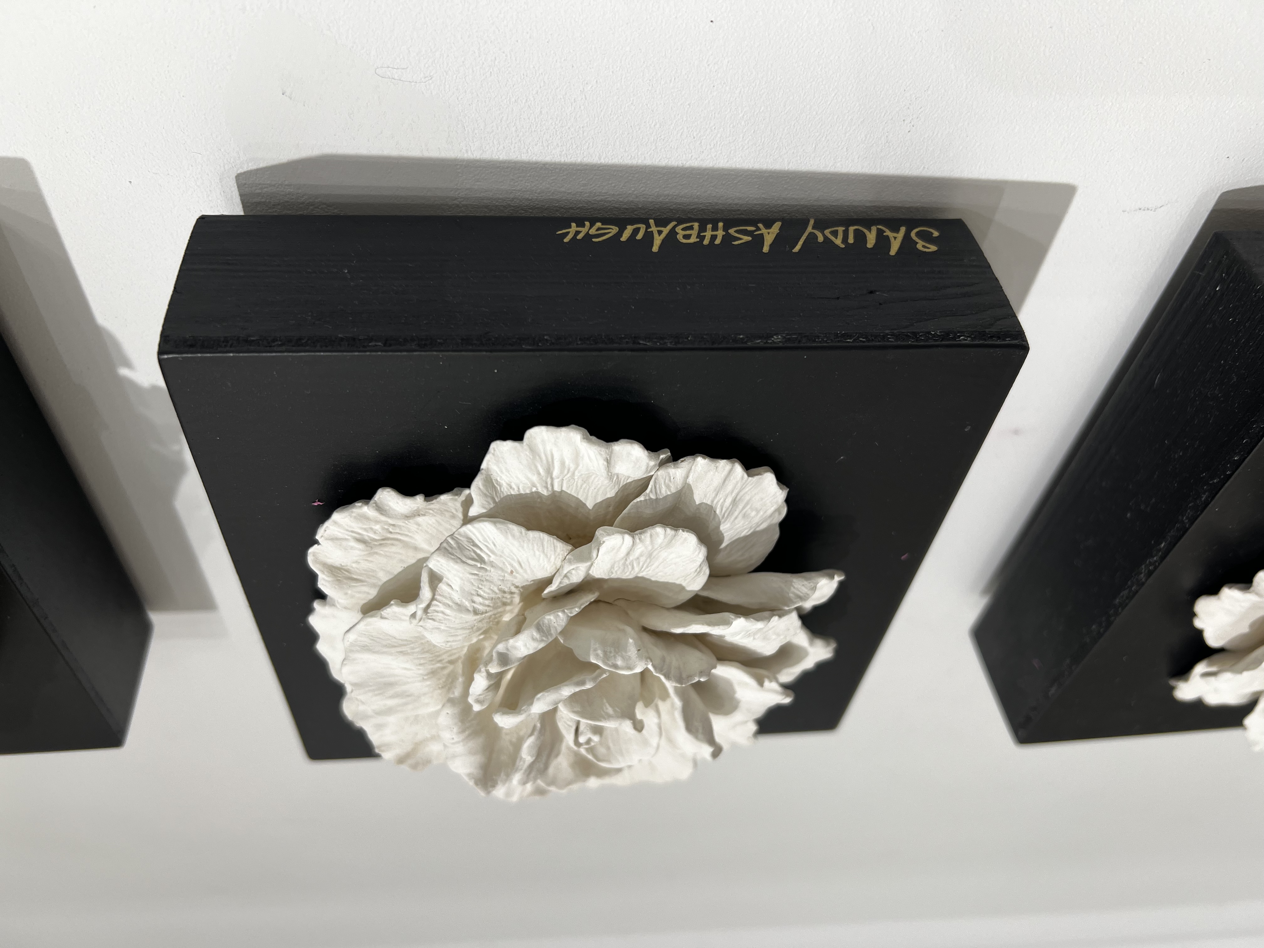 Sandy Ashbaugh gallery 5