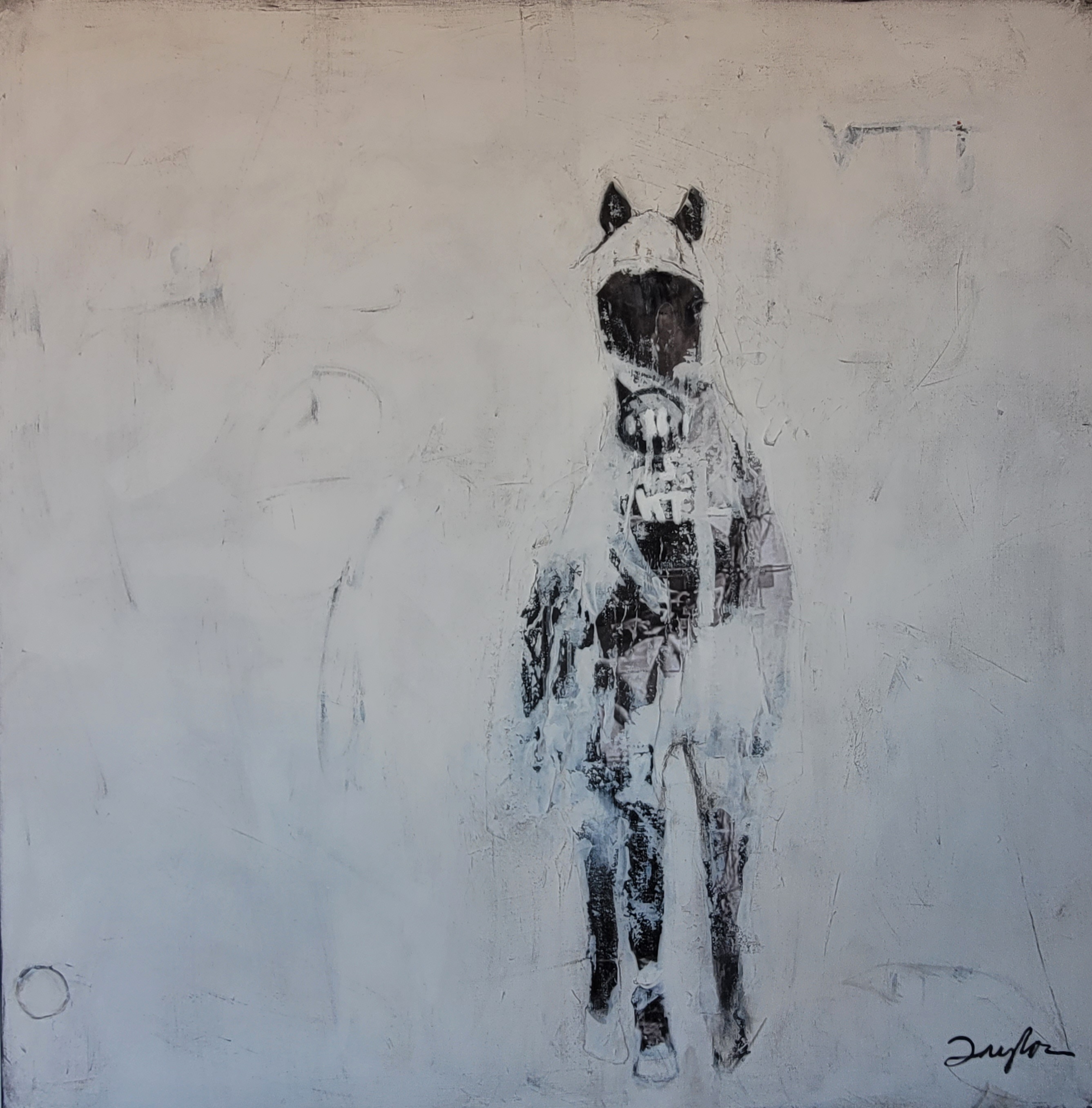 Kathy Taylor gallery 2