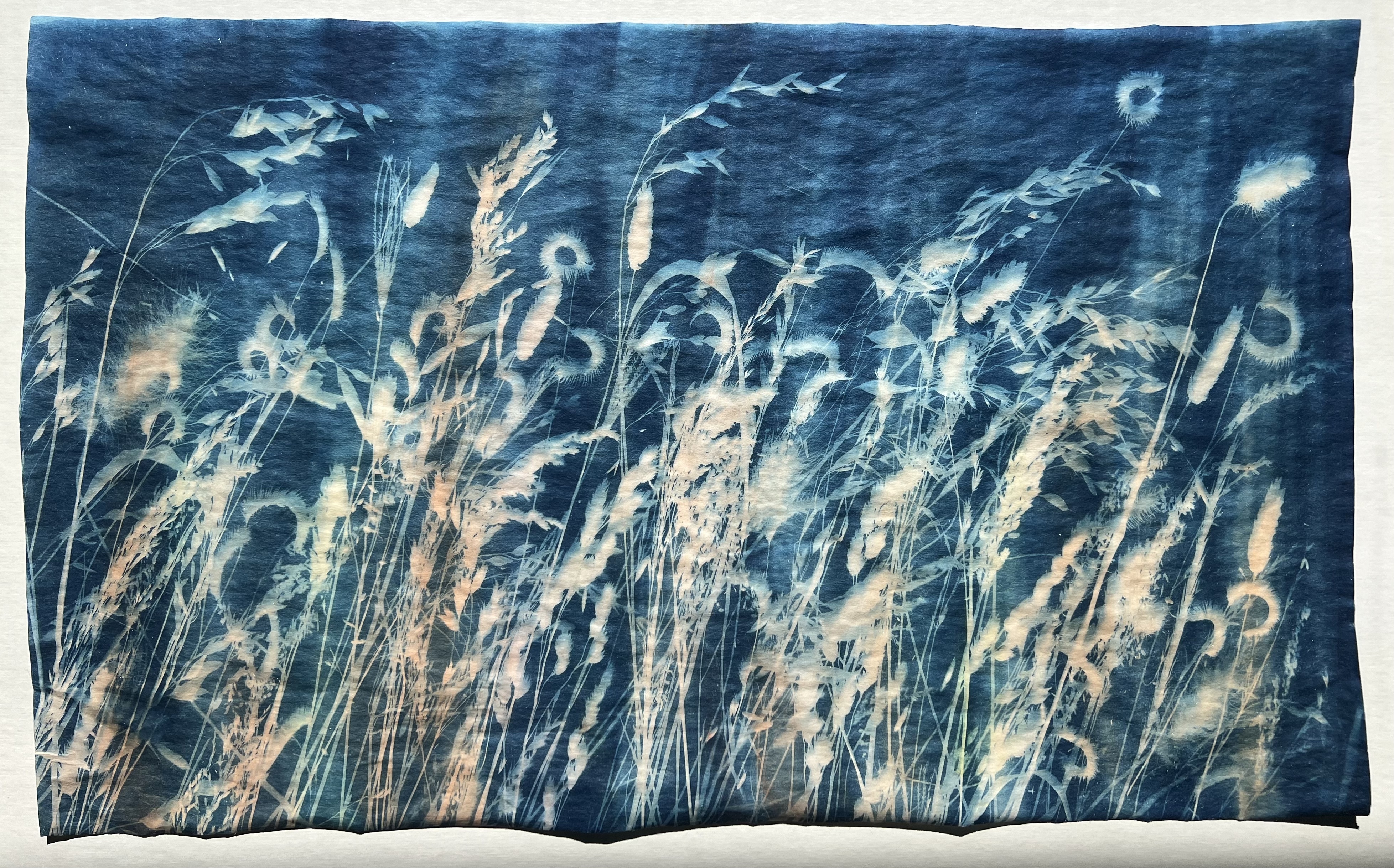 Fields of Light, Deserts of Color: Sarah Martiny and Dinorah Metz gallery photo 4