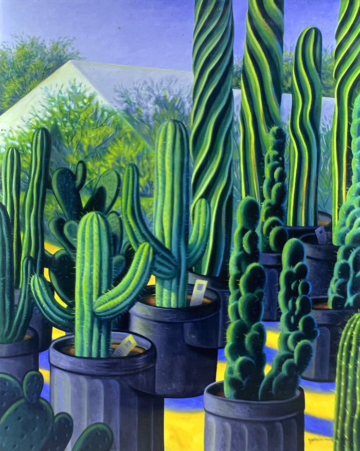 Succulents for Sale — image 1 of 1