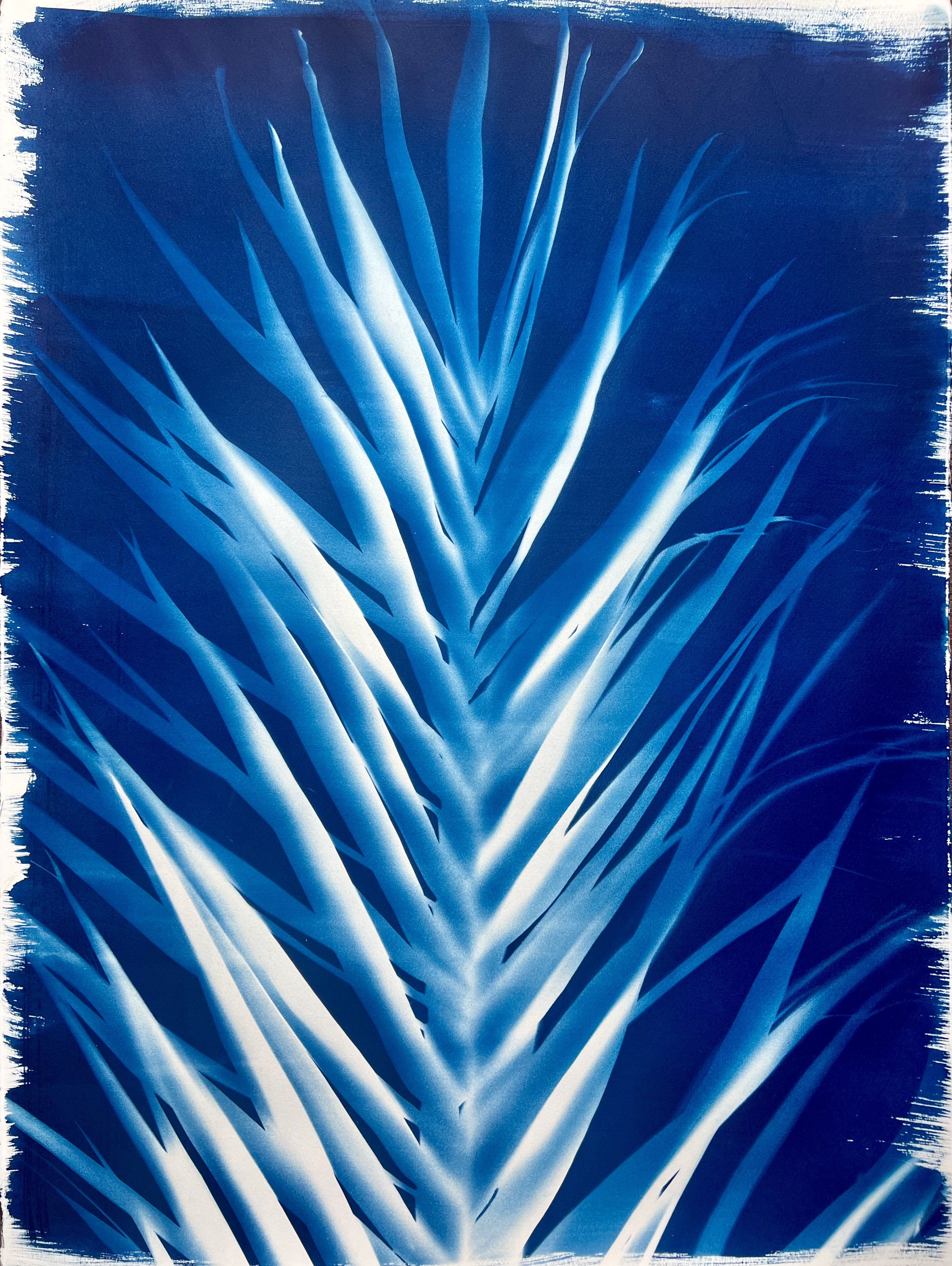 Sarah Martiny gallery 2