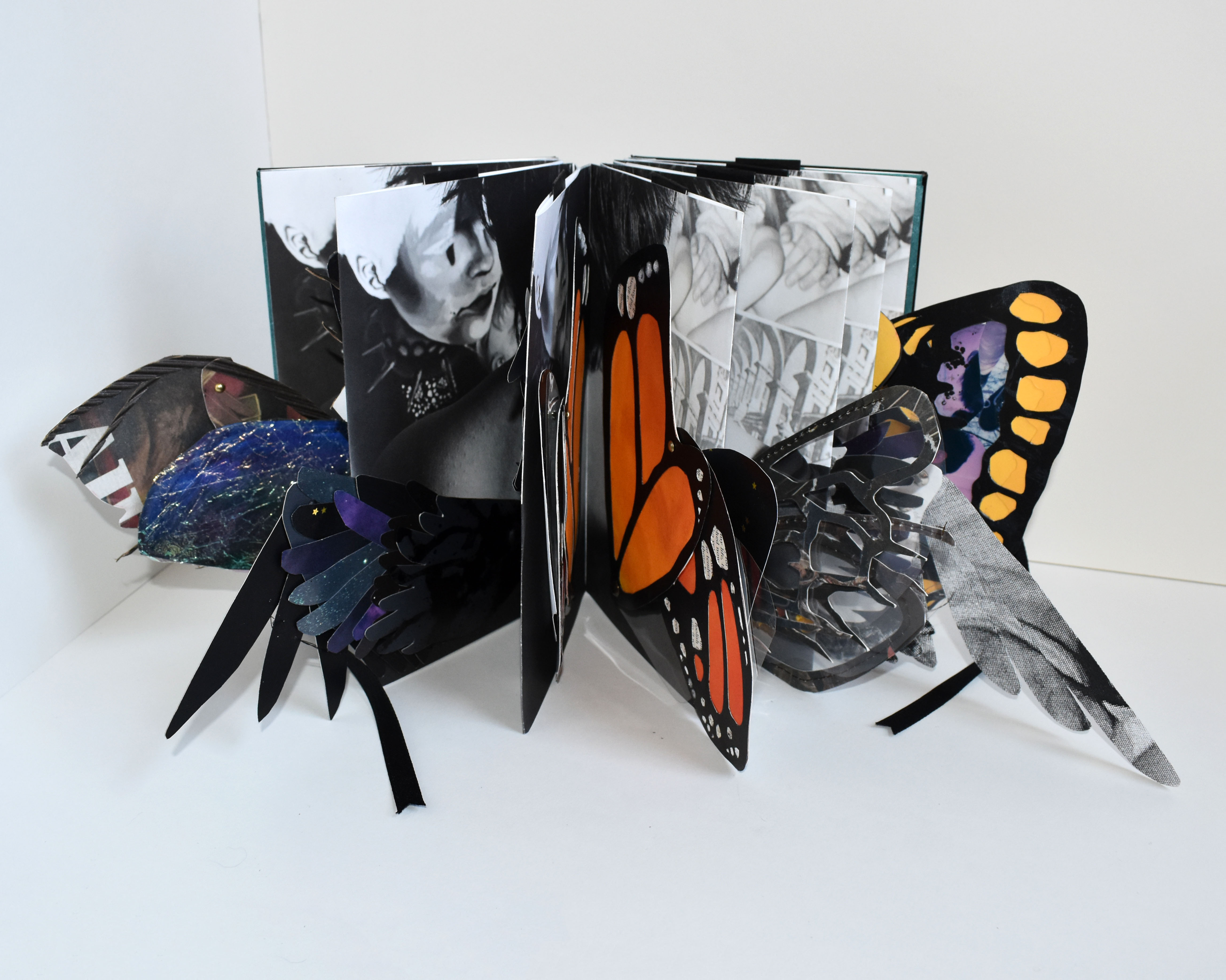 Morgan Maxfield gallery 1