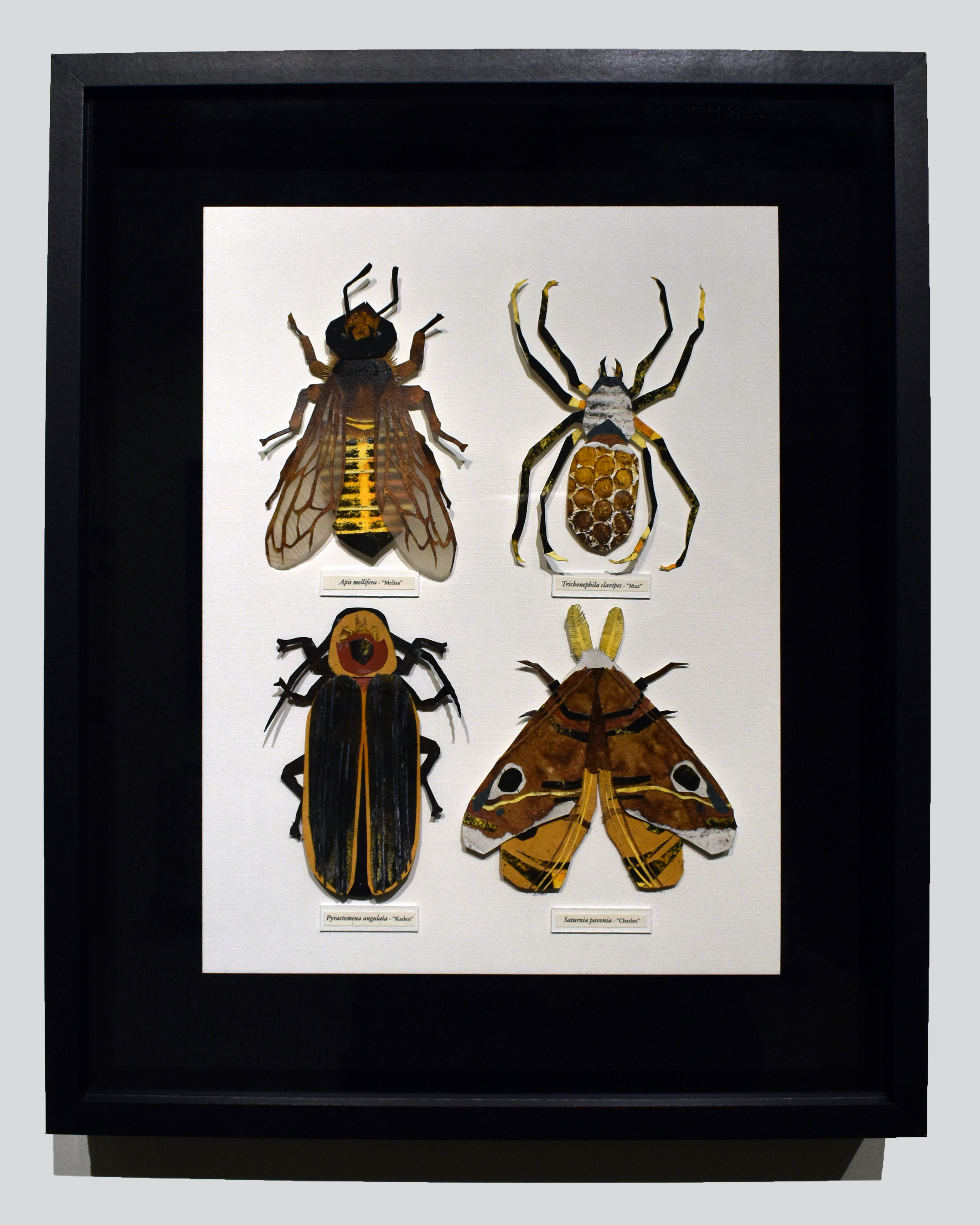 Morgan Maxfield gallery 6
