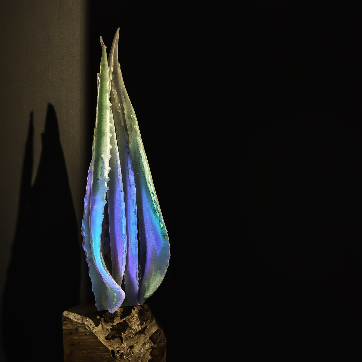 ILLUMINATE gallery photo 3
