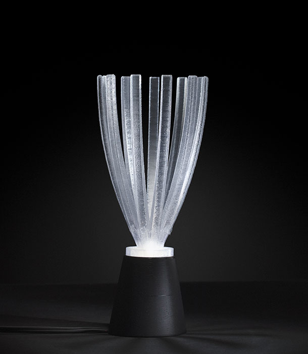ILLUMINATE gallery photo 5