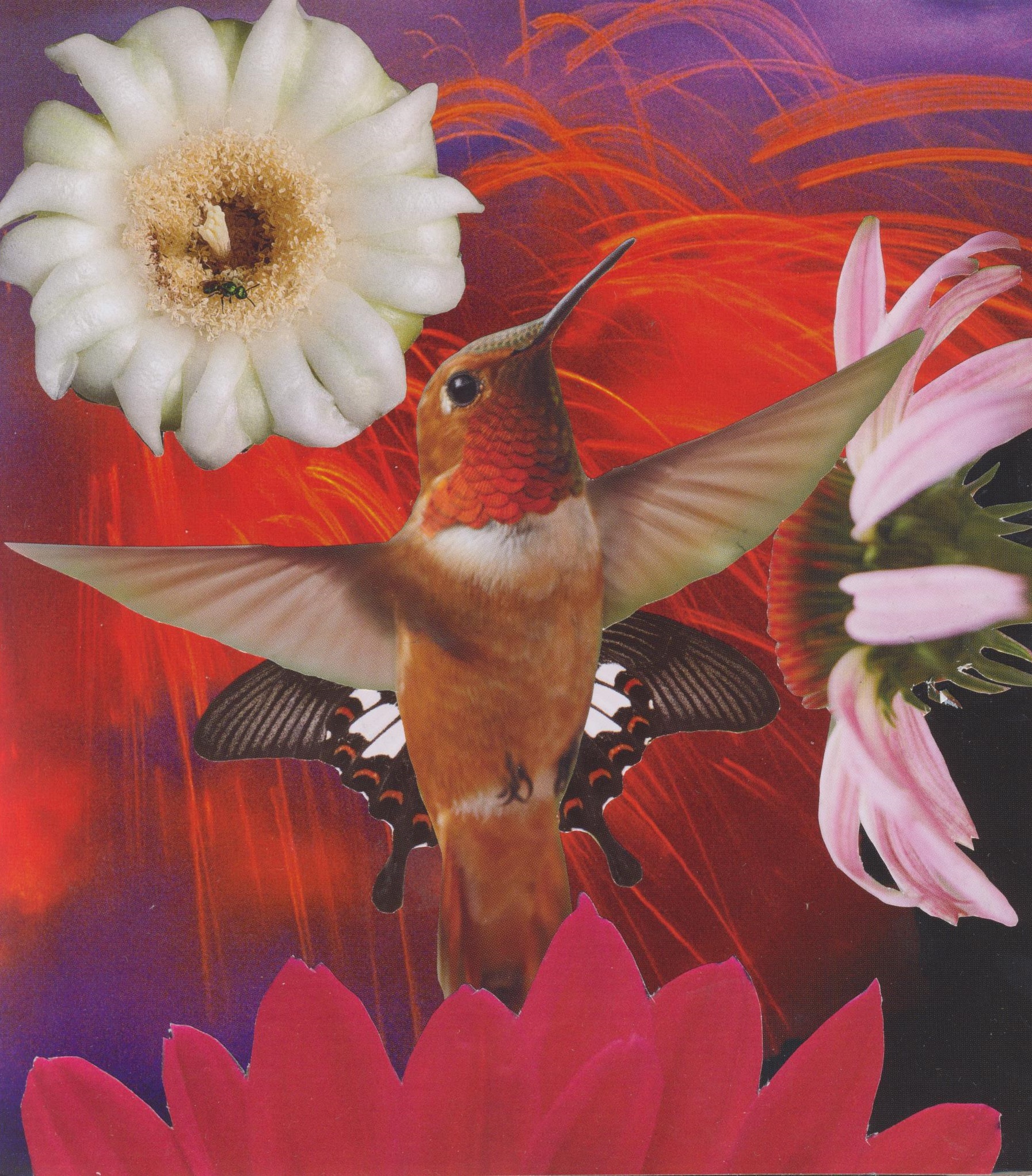 maryhope|whitehead|lee gallery 10