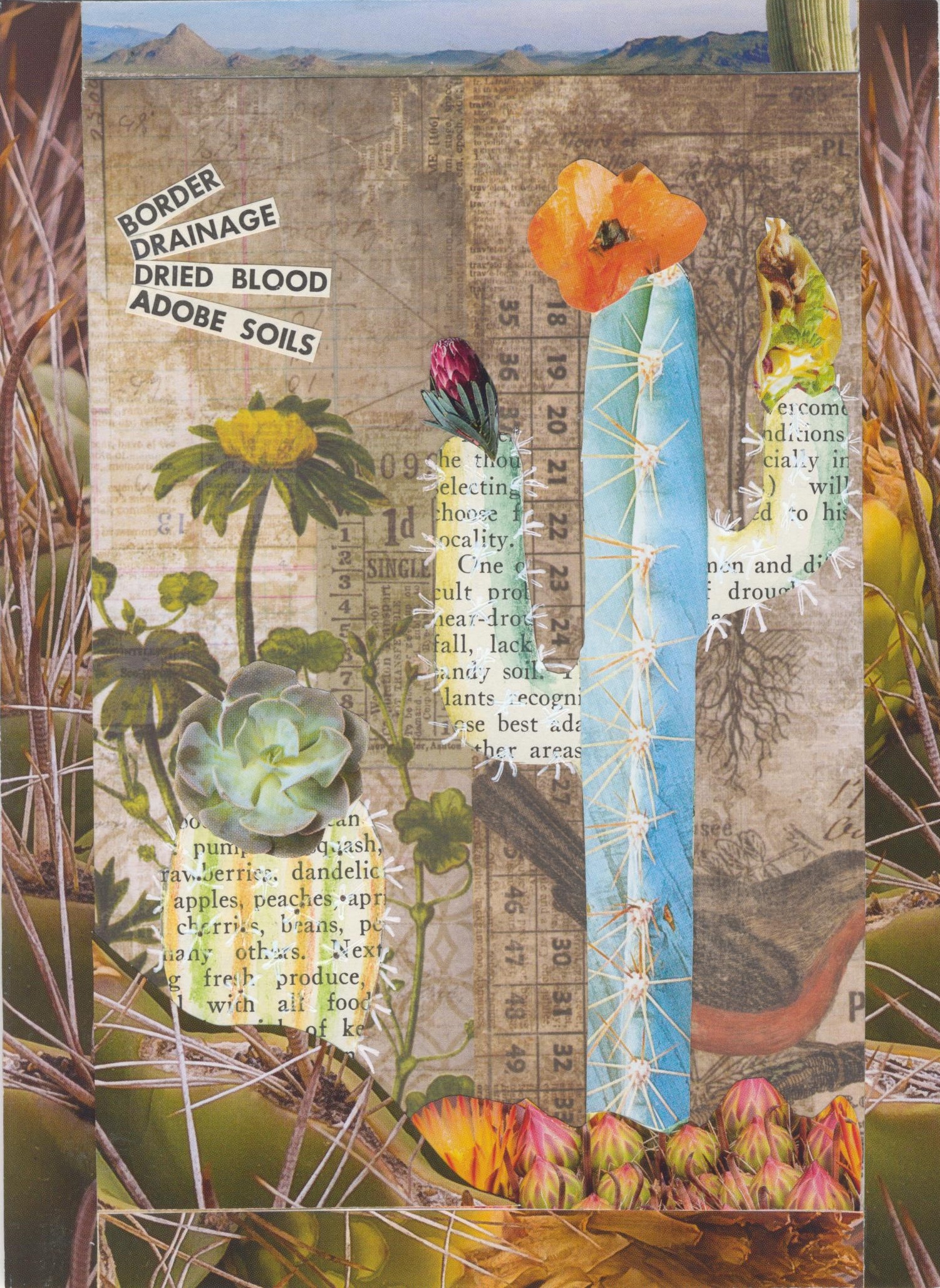 maryhope|whitehead|lee gallery 12