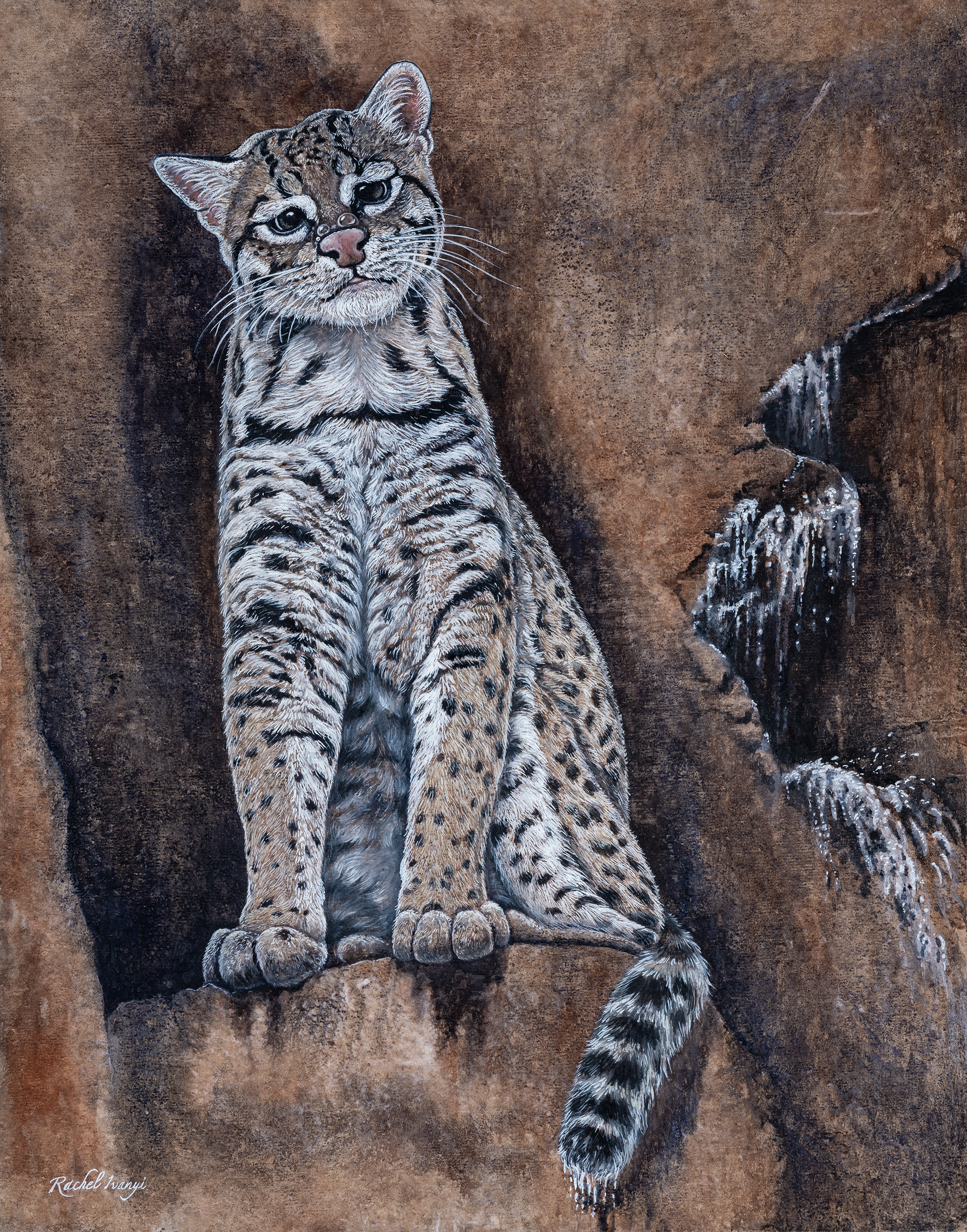 Rachel Ivanyi gallery 4