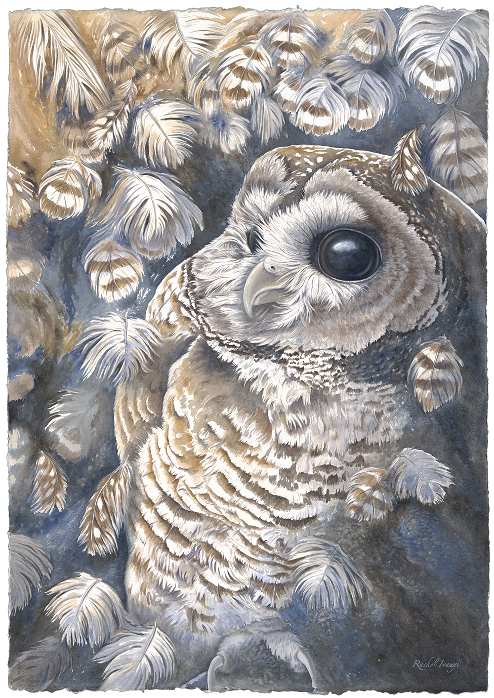 Rachel Ivanyi gallery 5