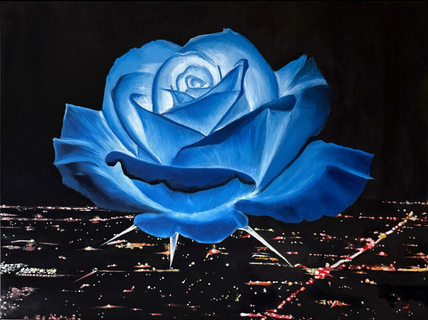 Anna Cash gallery 4