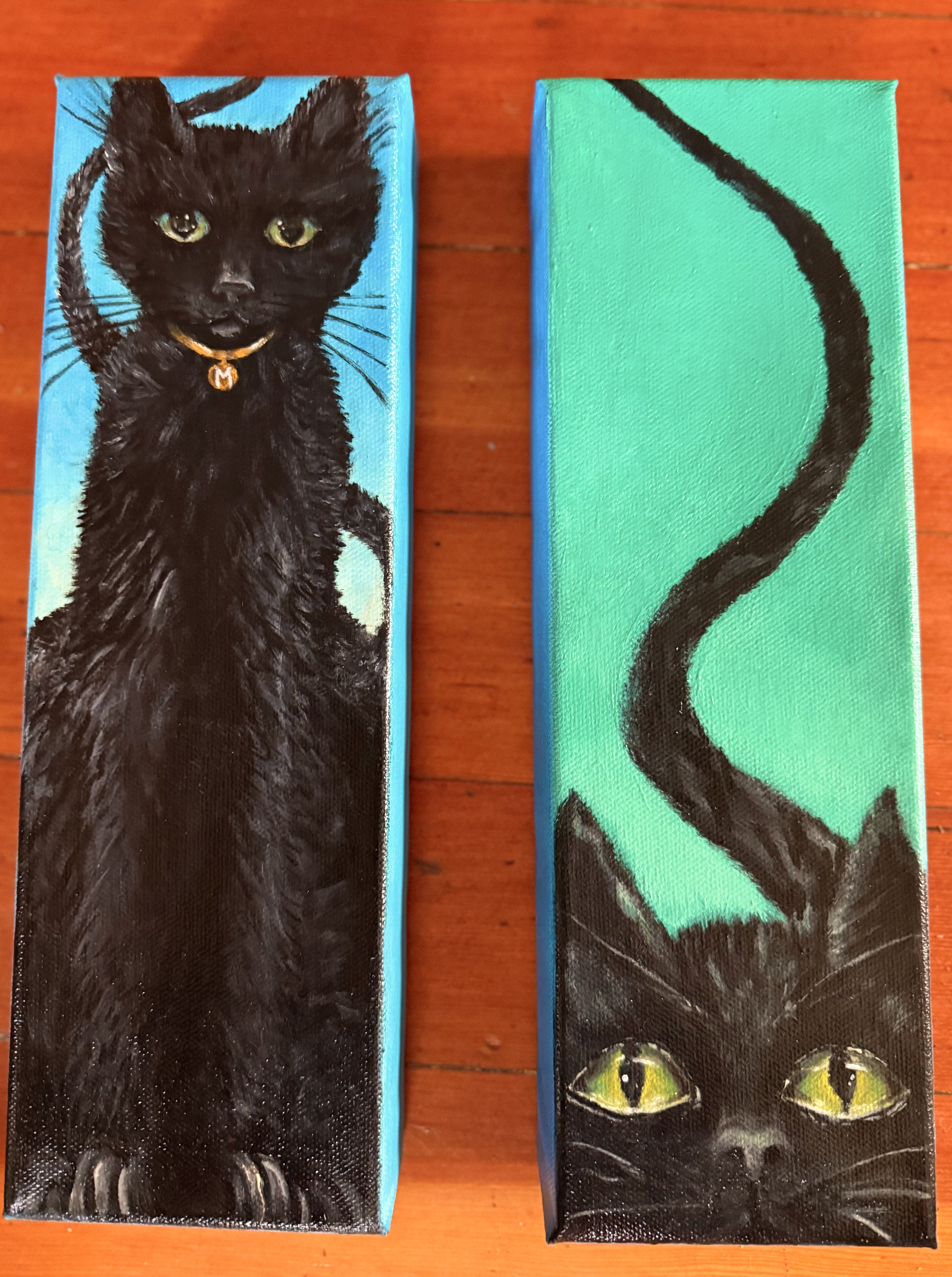 Pet portraits