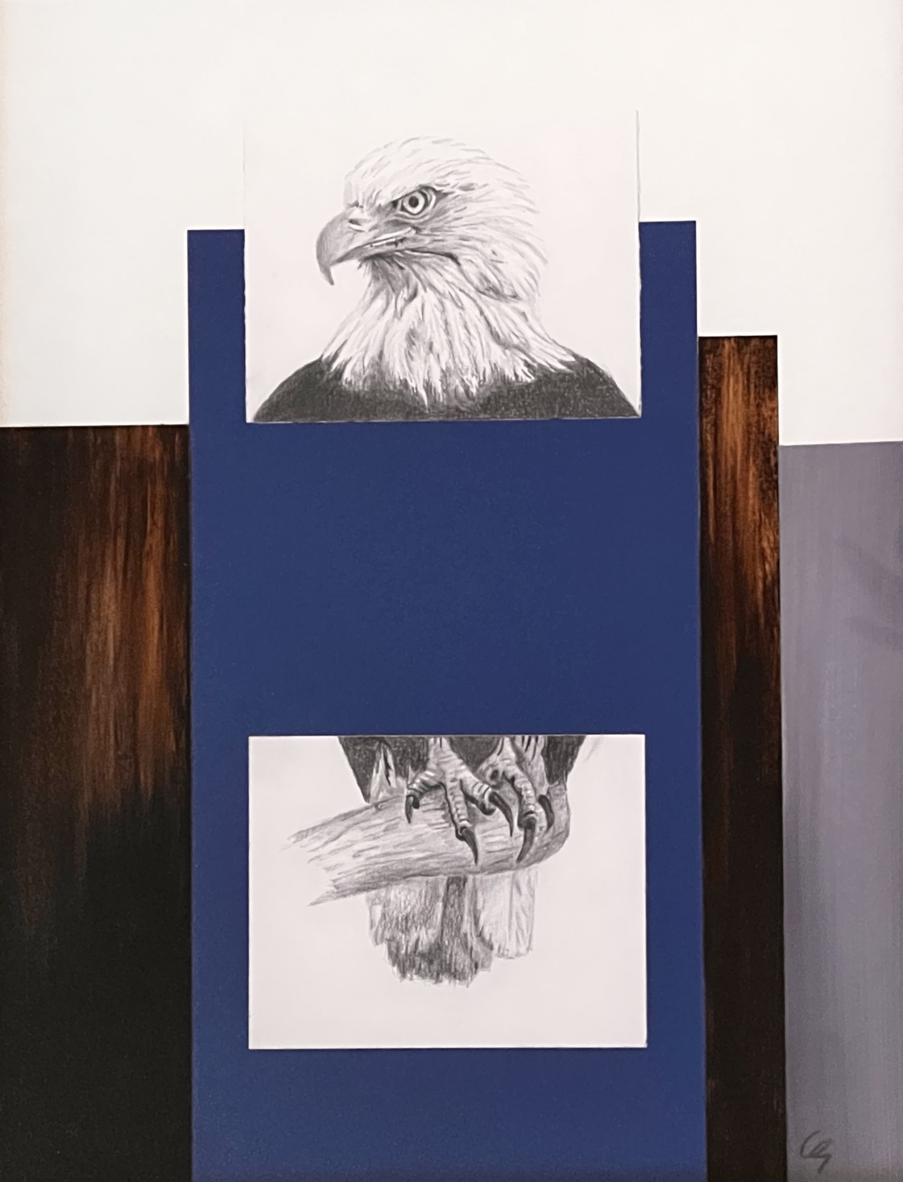 Carol Sewell gallery 8