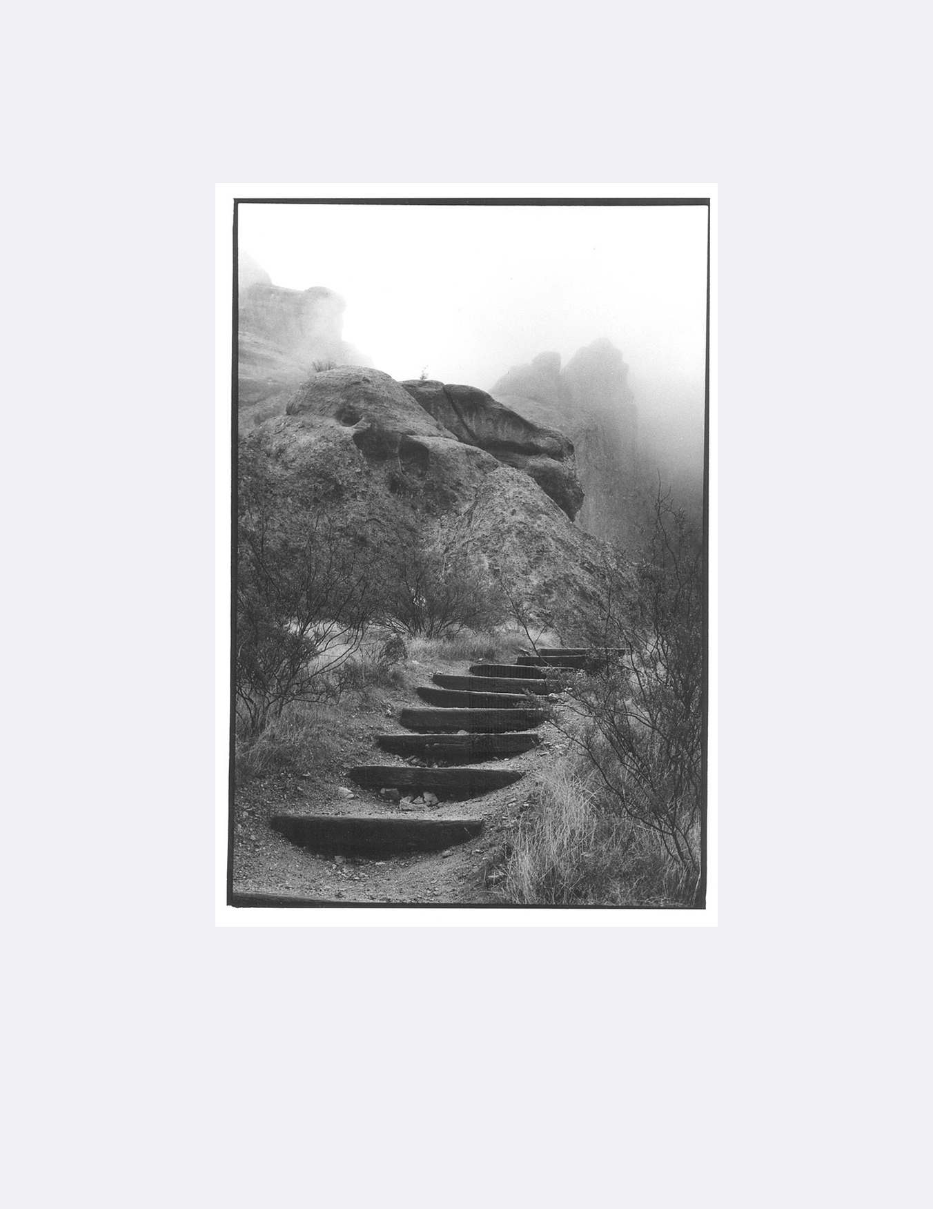 Steve Weiss gallery 5