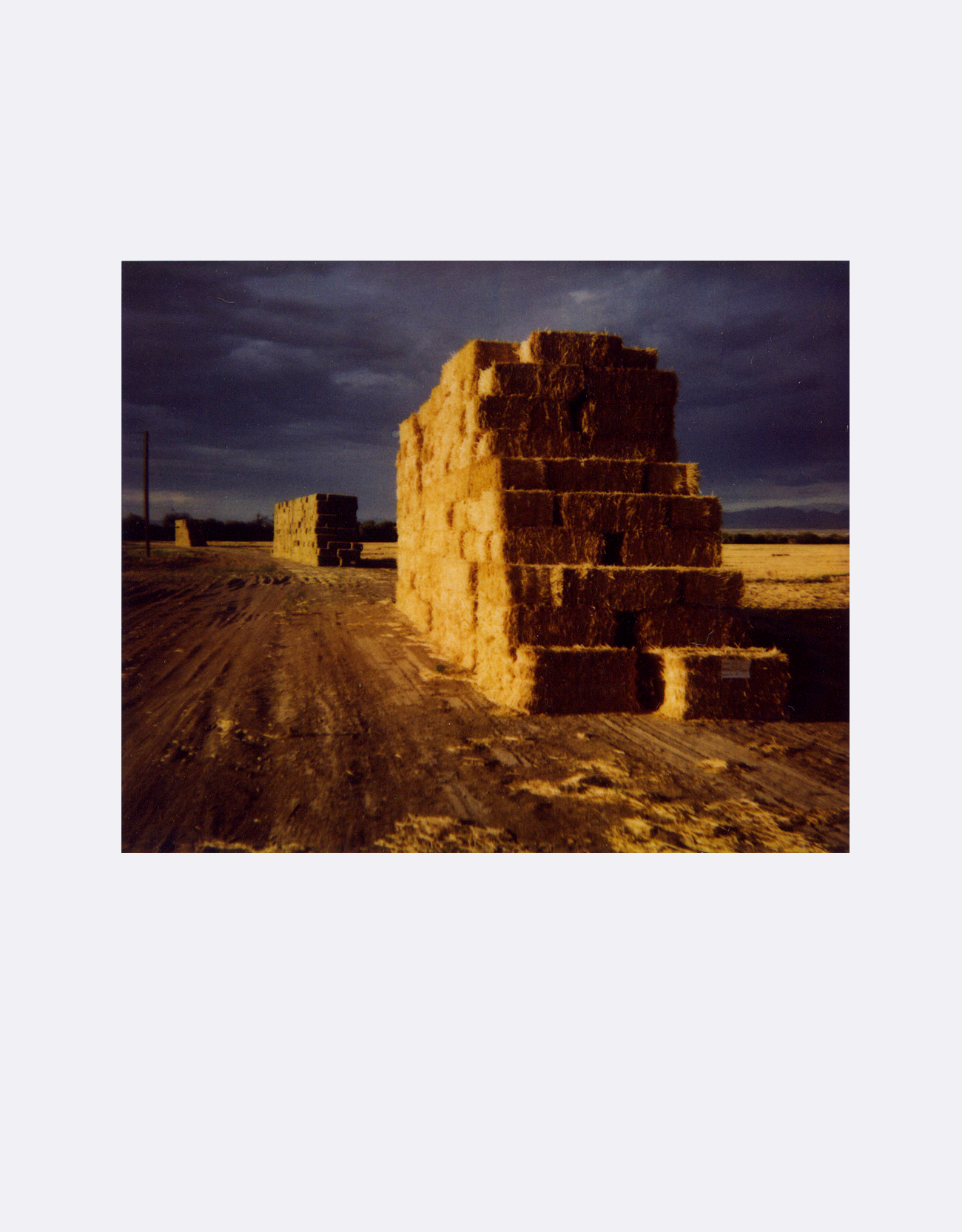 Steve Weiss gallery 7