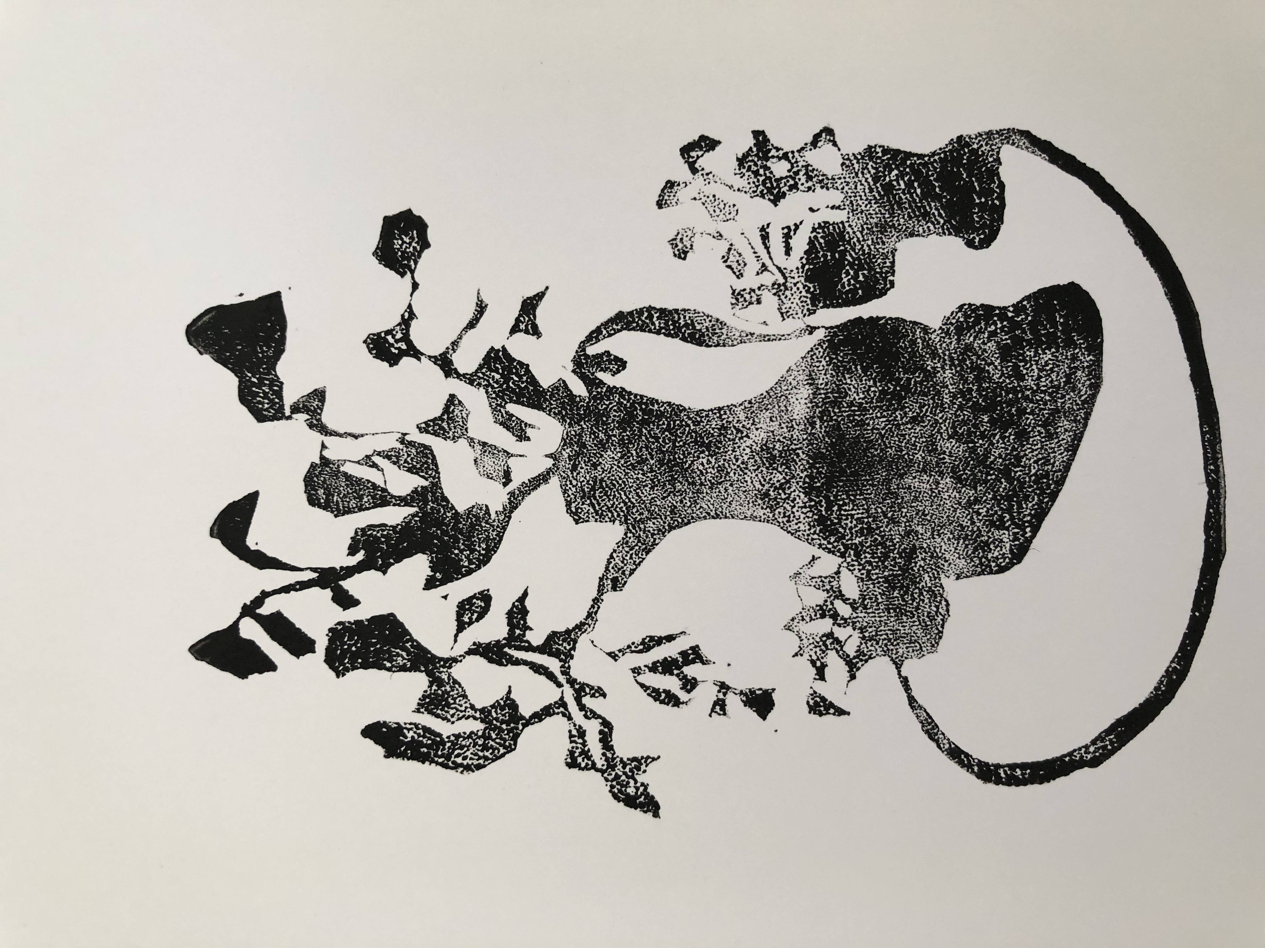 Jackie Dishner gallery 3