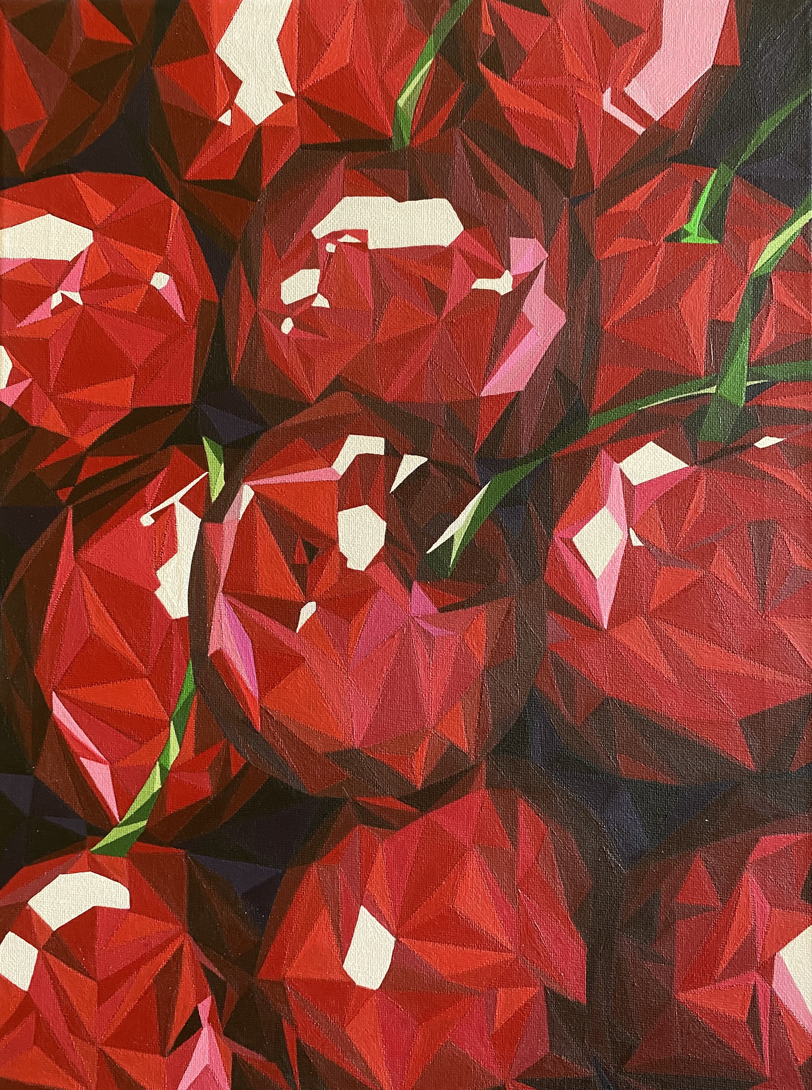 Alaina Tesarek gallery 3