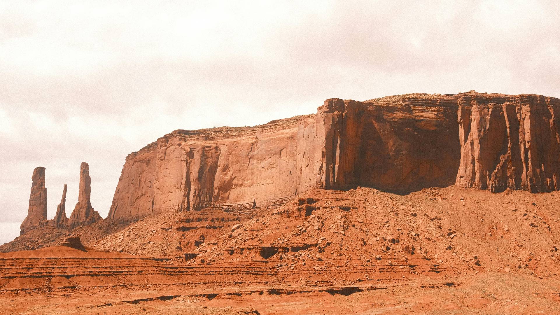 Alaina Tesarek banner
