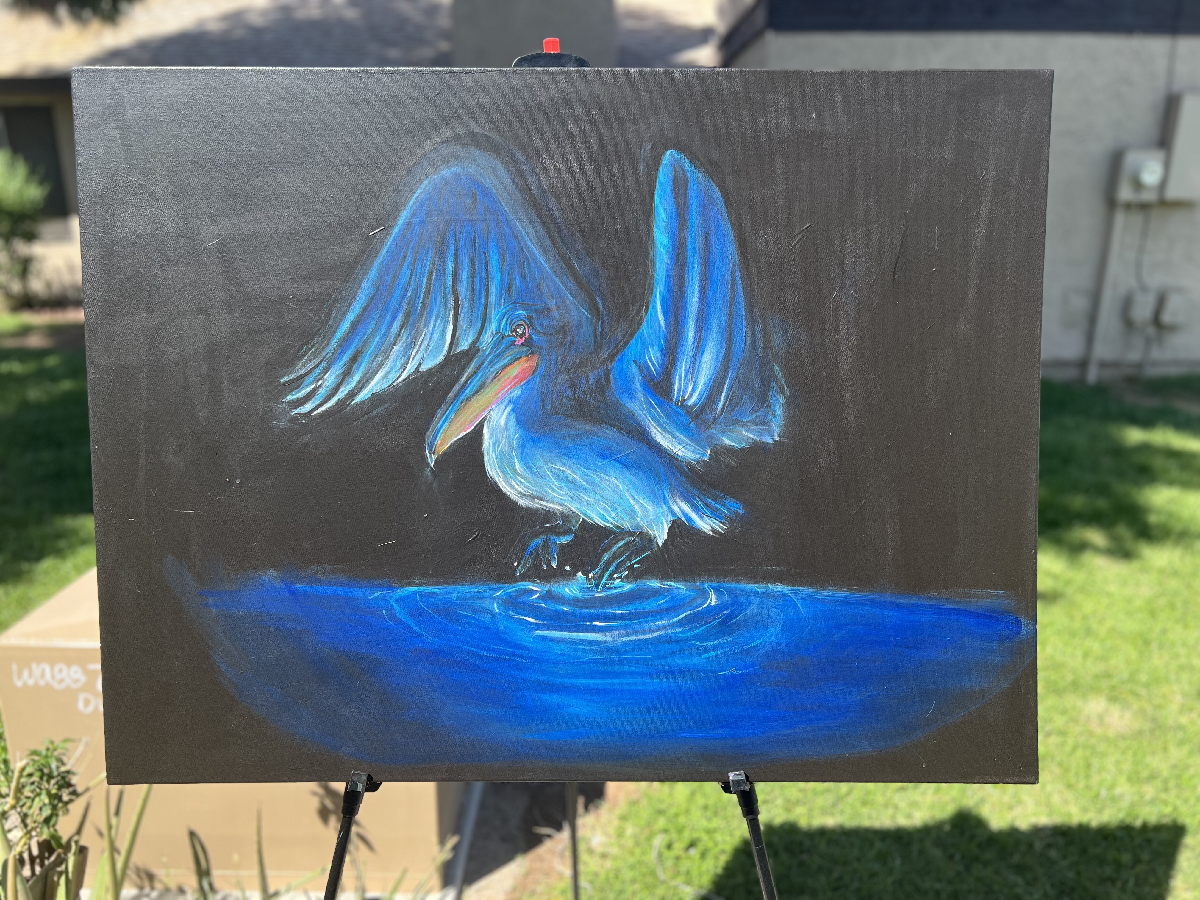 Deane Maney gallery 4