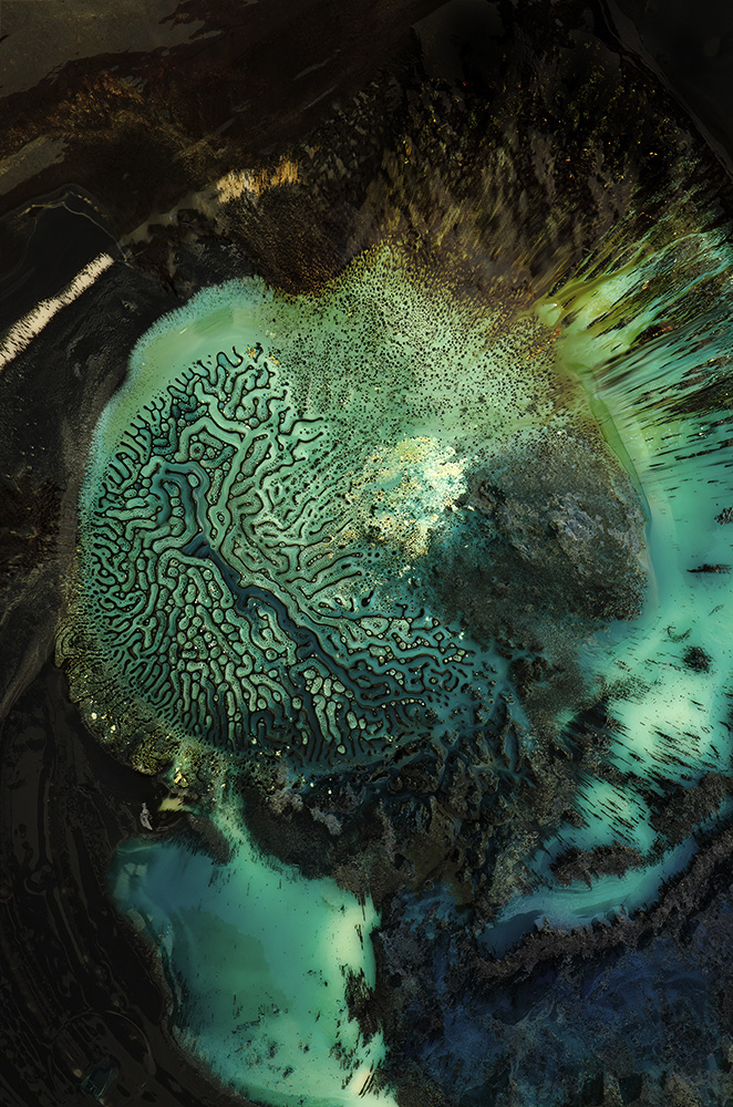 North 53 — image 1 of 1
