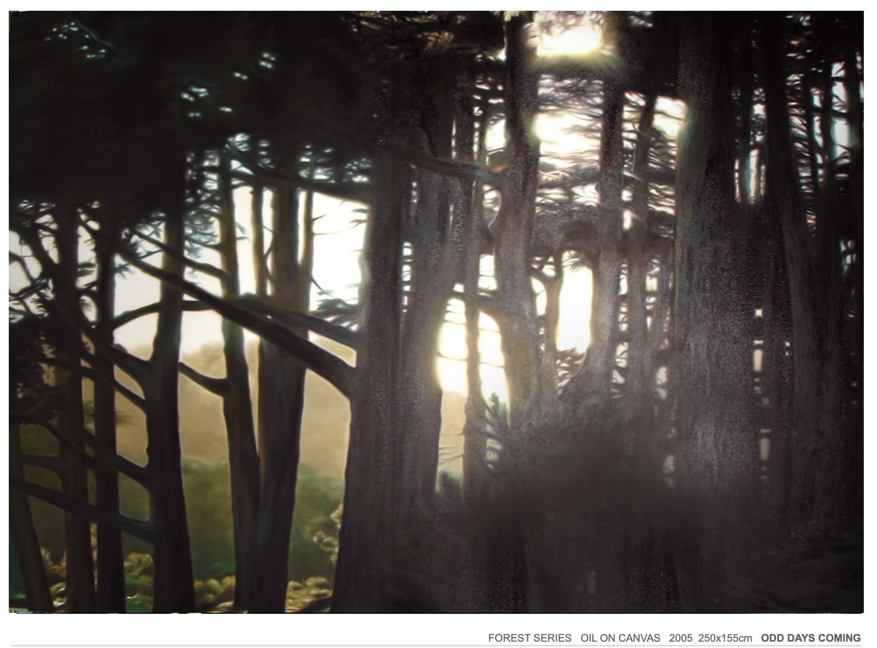 TOURYA Othman gallery 38
