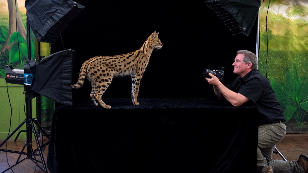 Joel Sartore: An ARCC Toward a Better Future Opening Reception