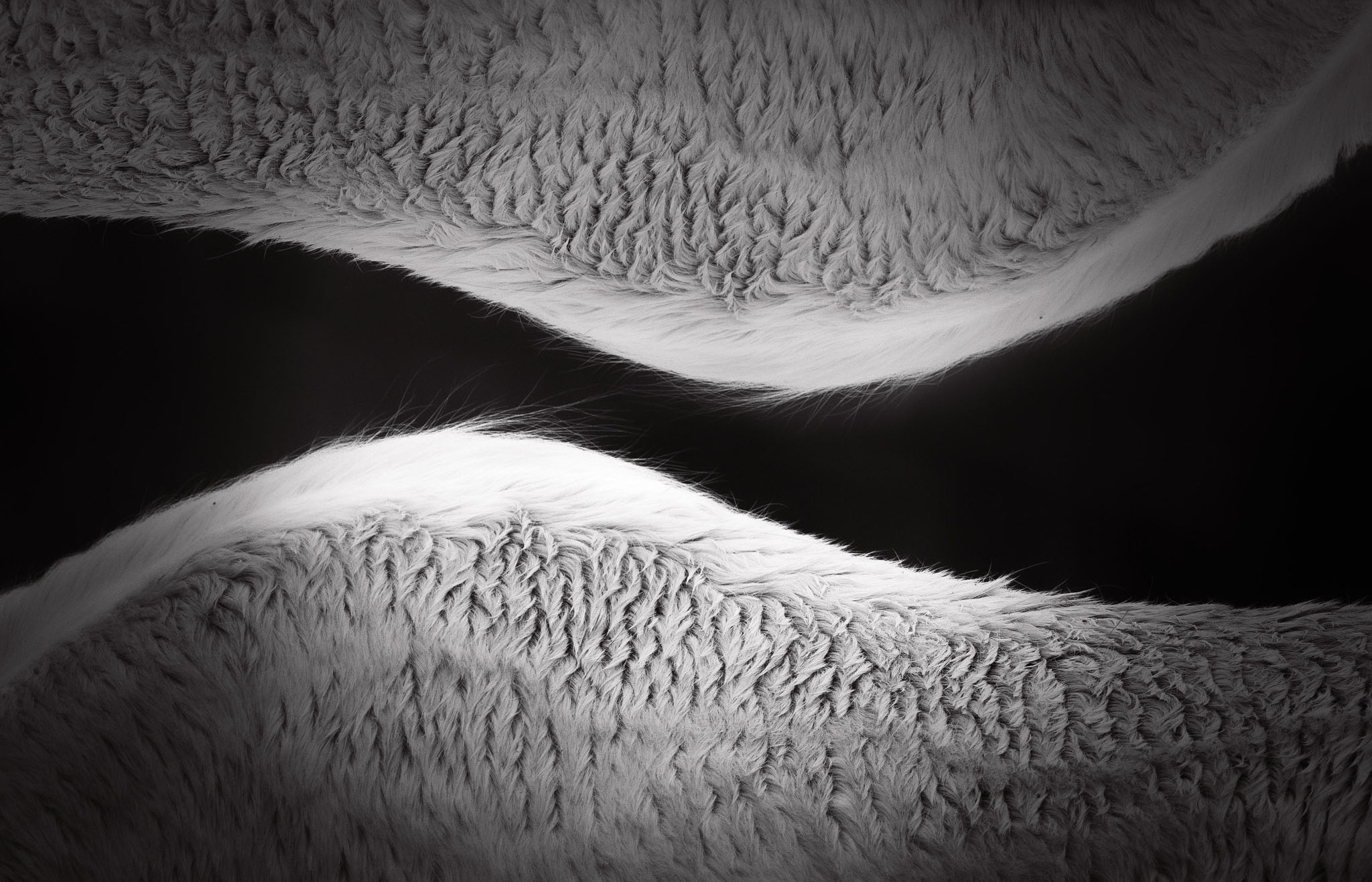 TEXTURED — image 1 of 1