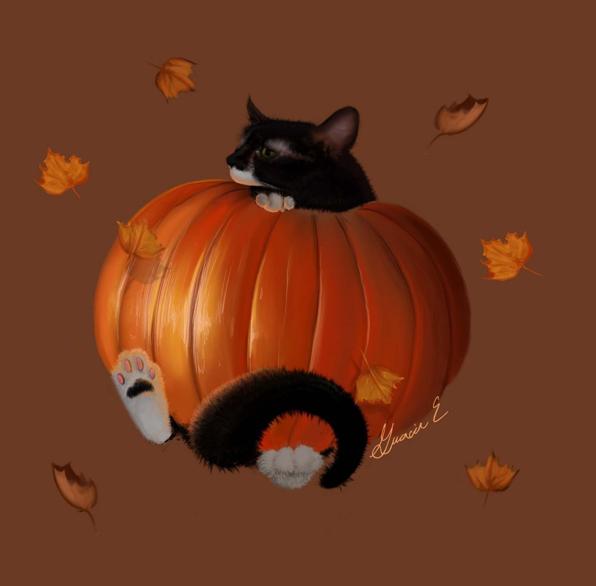 Frankie's Autumn