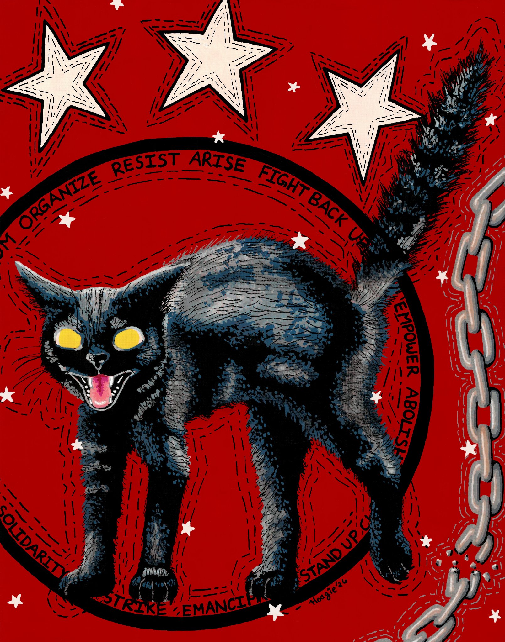 Sabo Tabby
