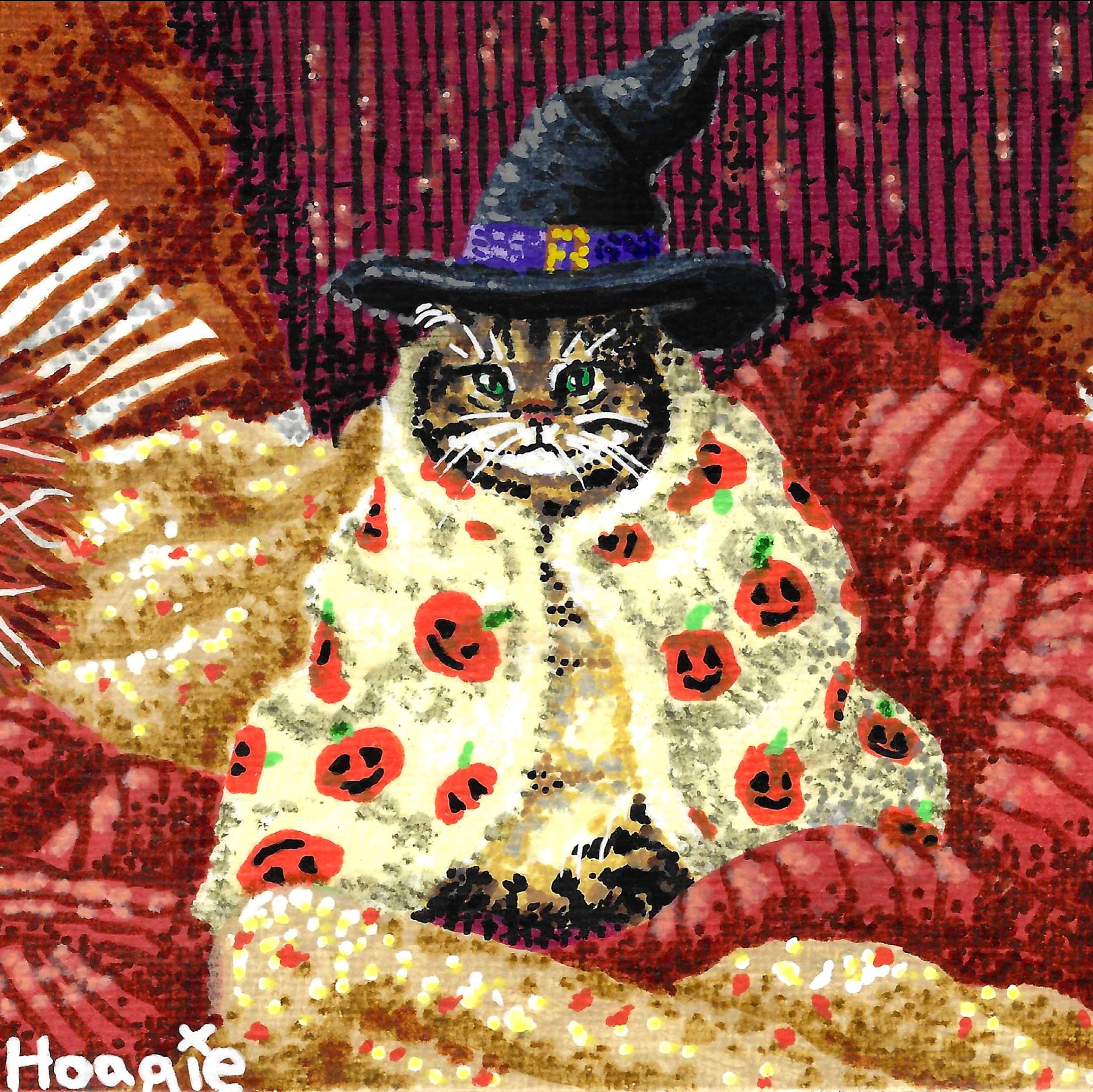 Cozy Witch Cat