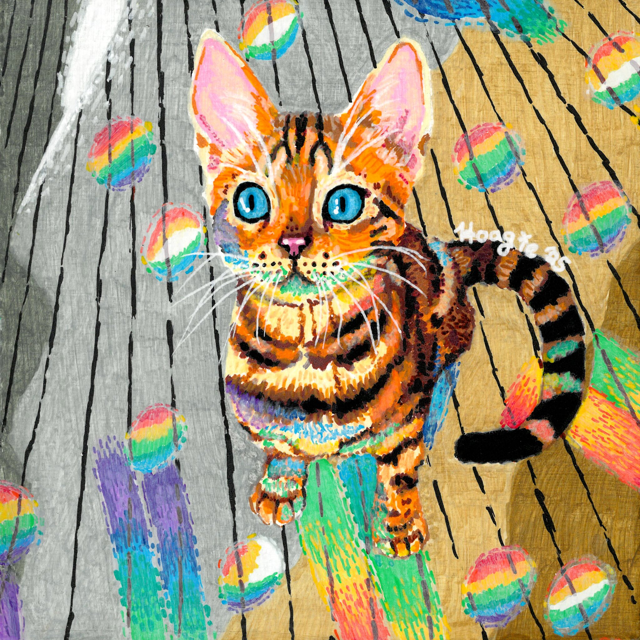 Sun-Cat-Cher