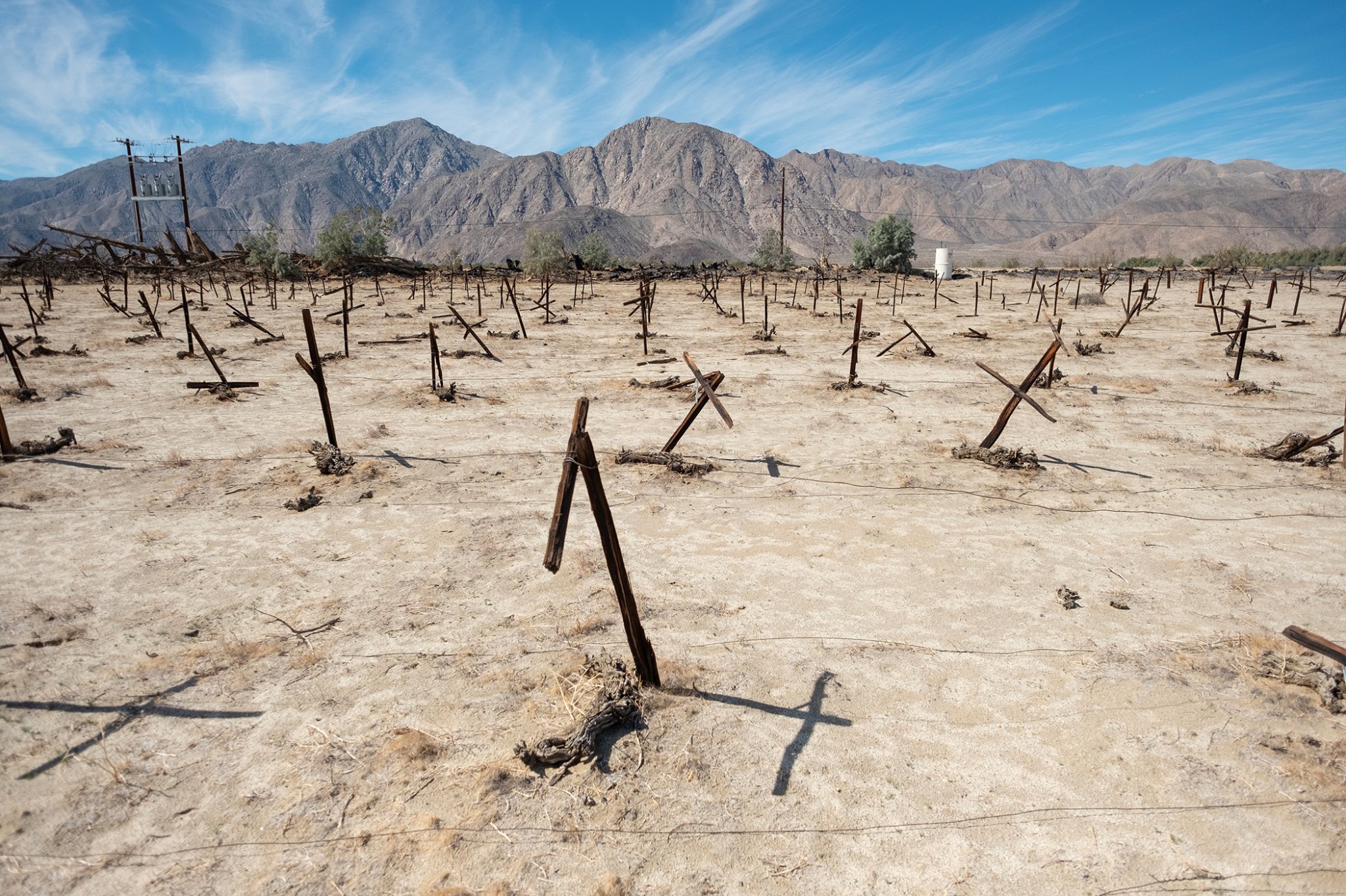 Abandoned Vineyard Borrego Springs CA.