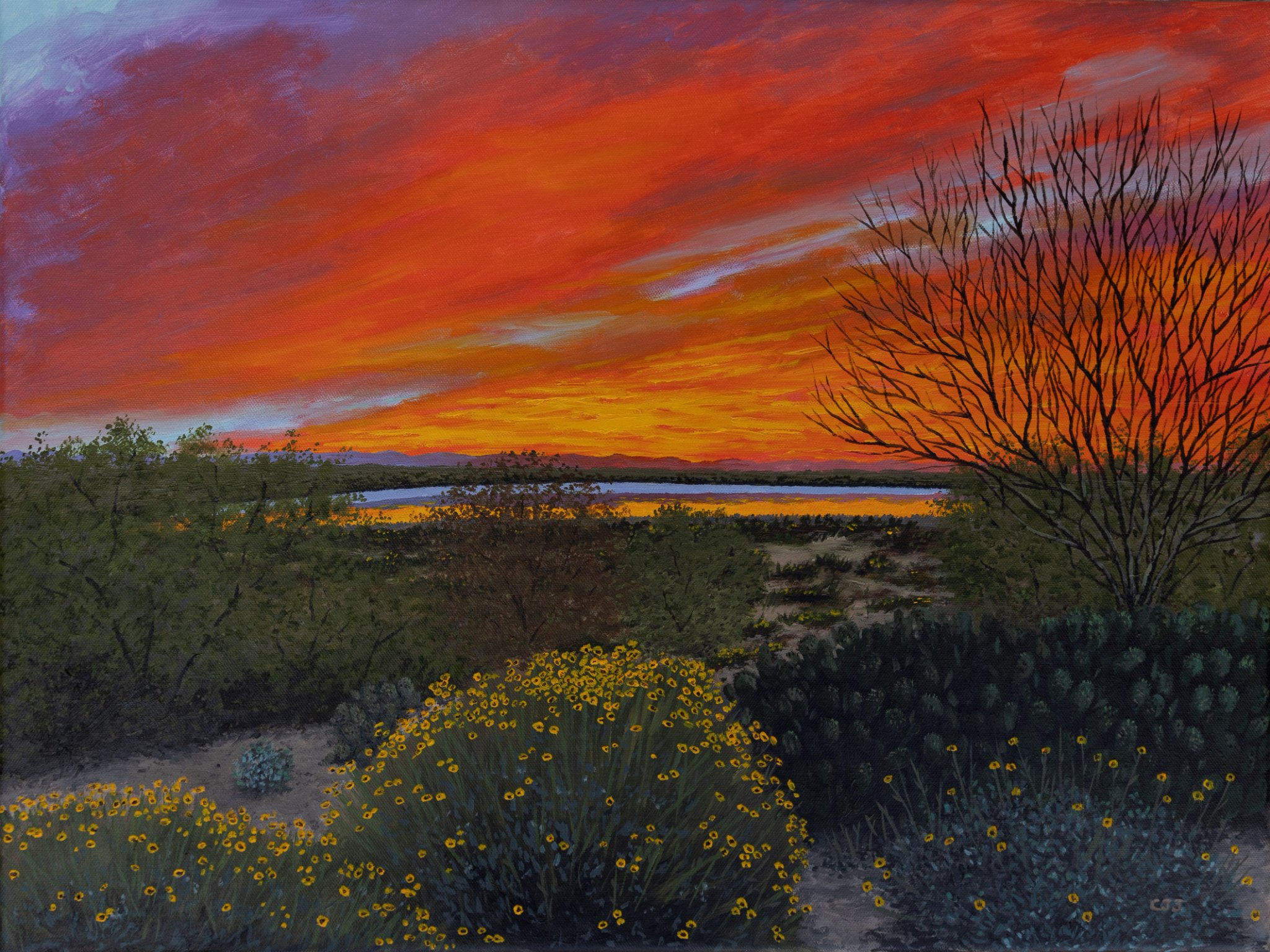 Sonoran Sunrise