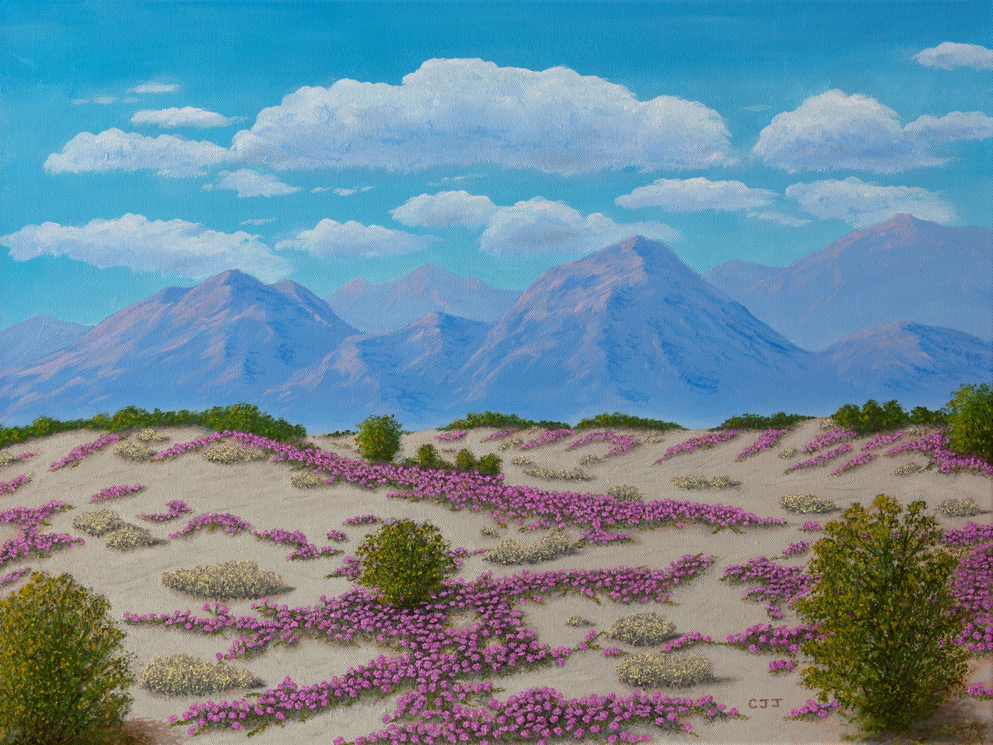 Desert Verbena
