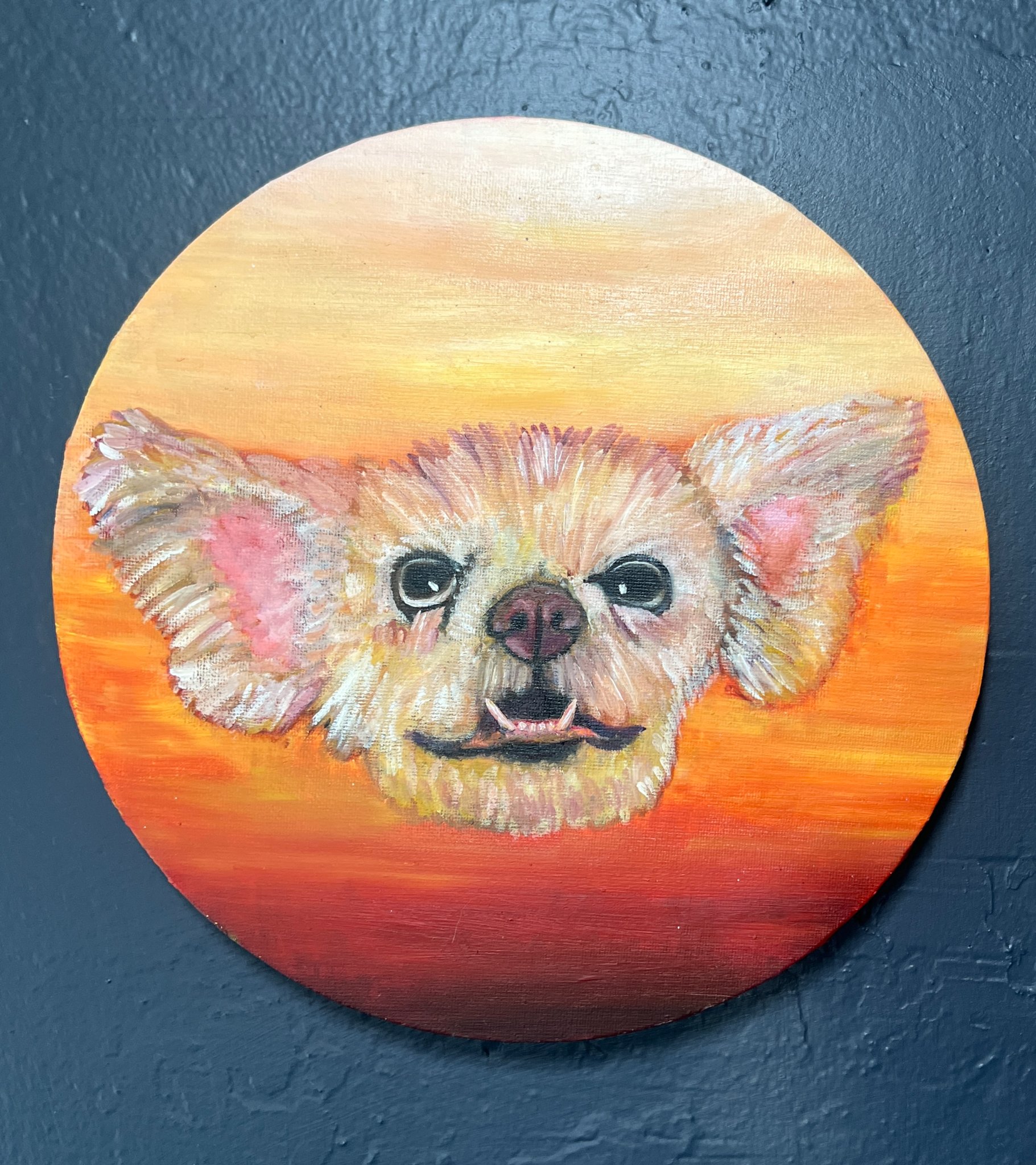 Bee gallery 14
