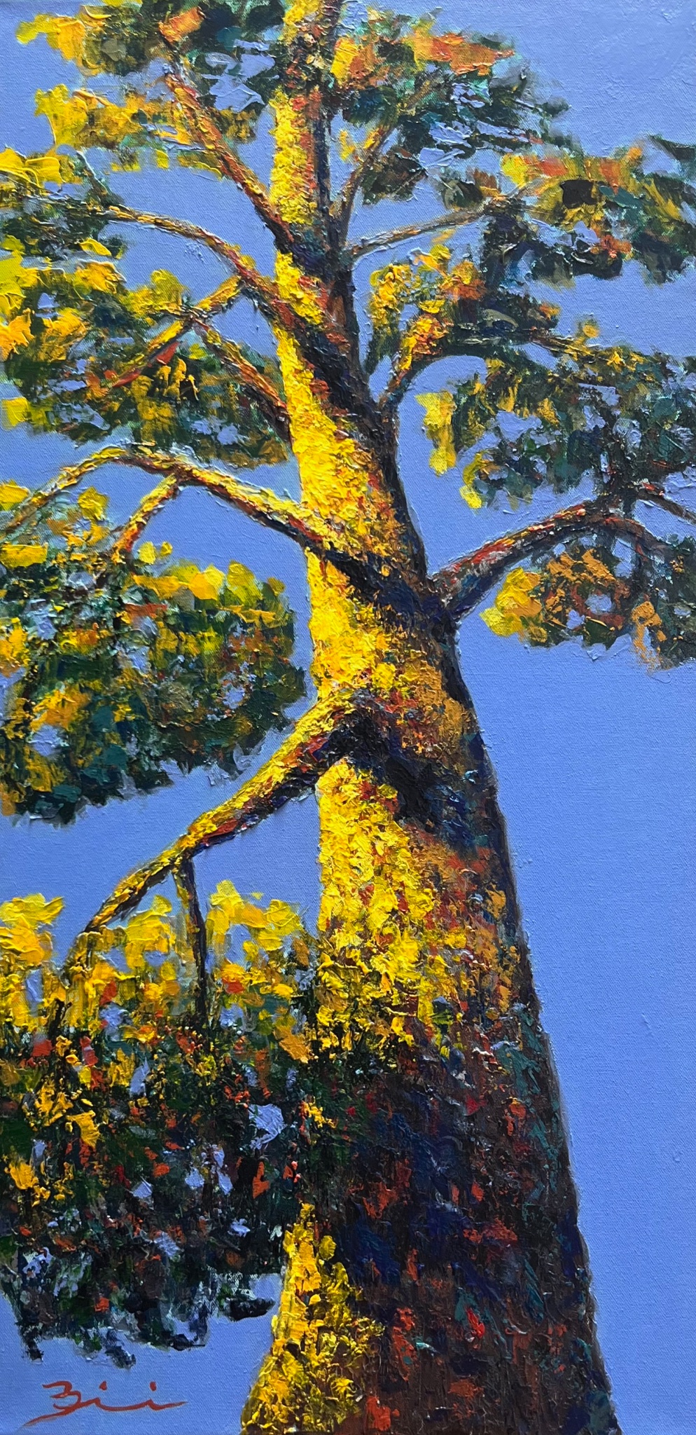 Dale Biscardi gallery 12