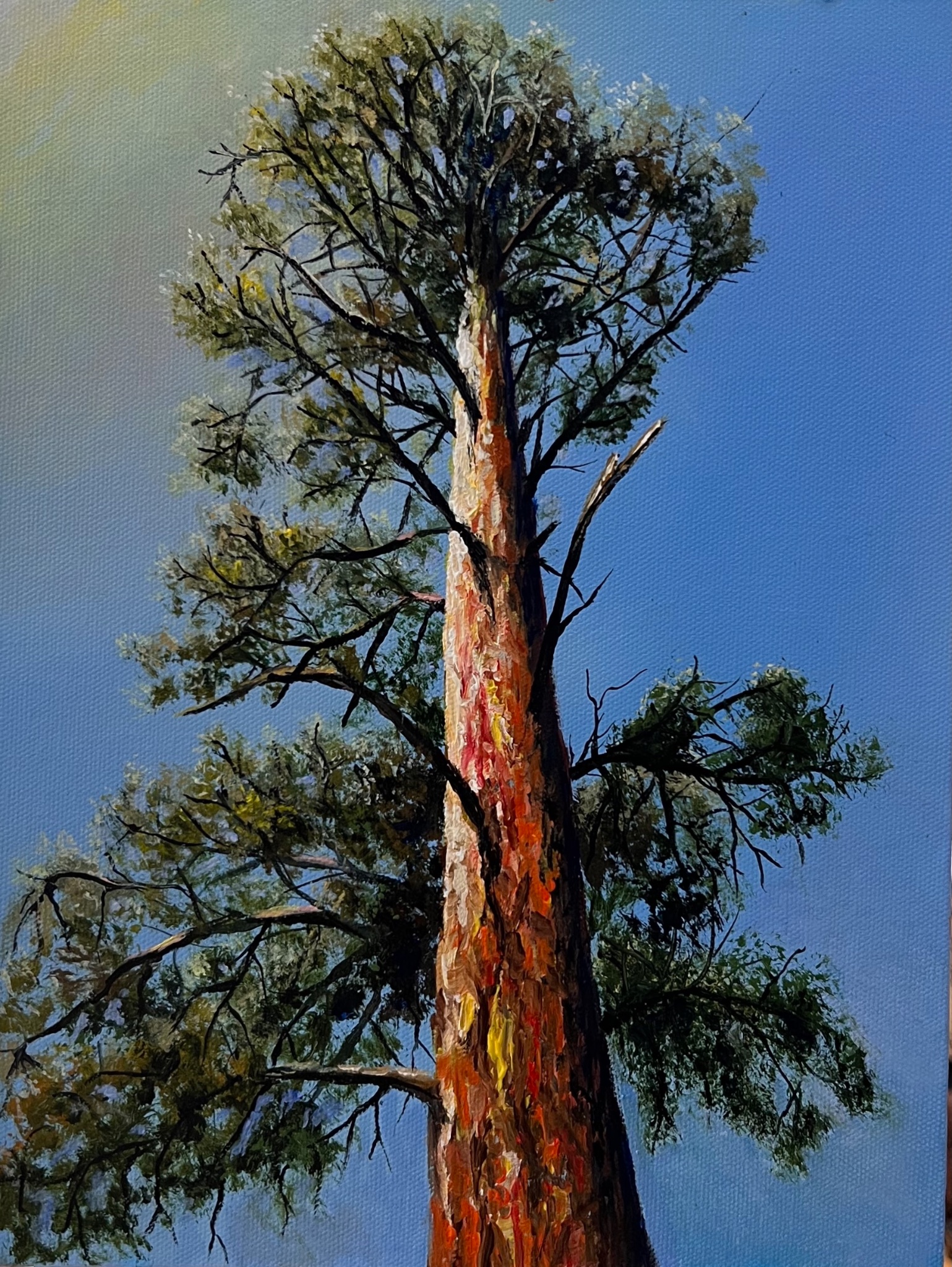 Dale Biscardi gallery 9