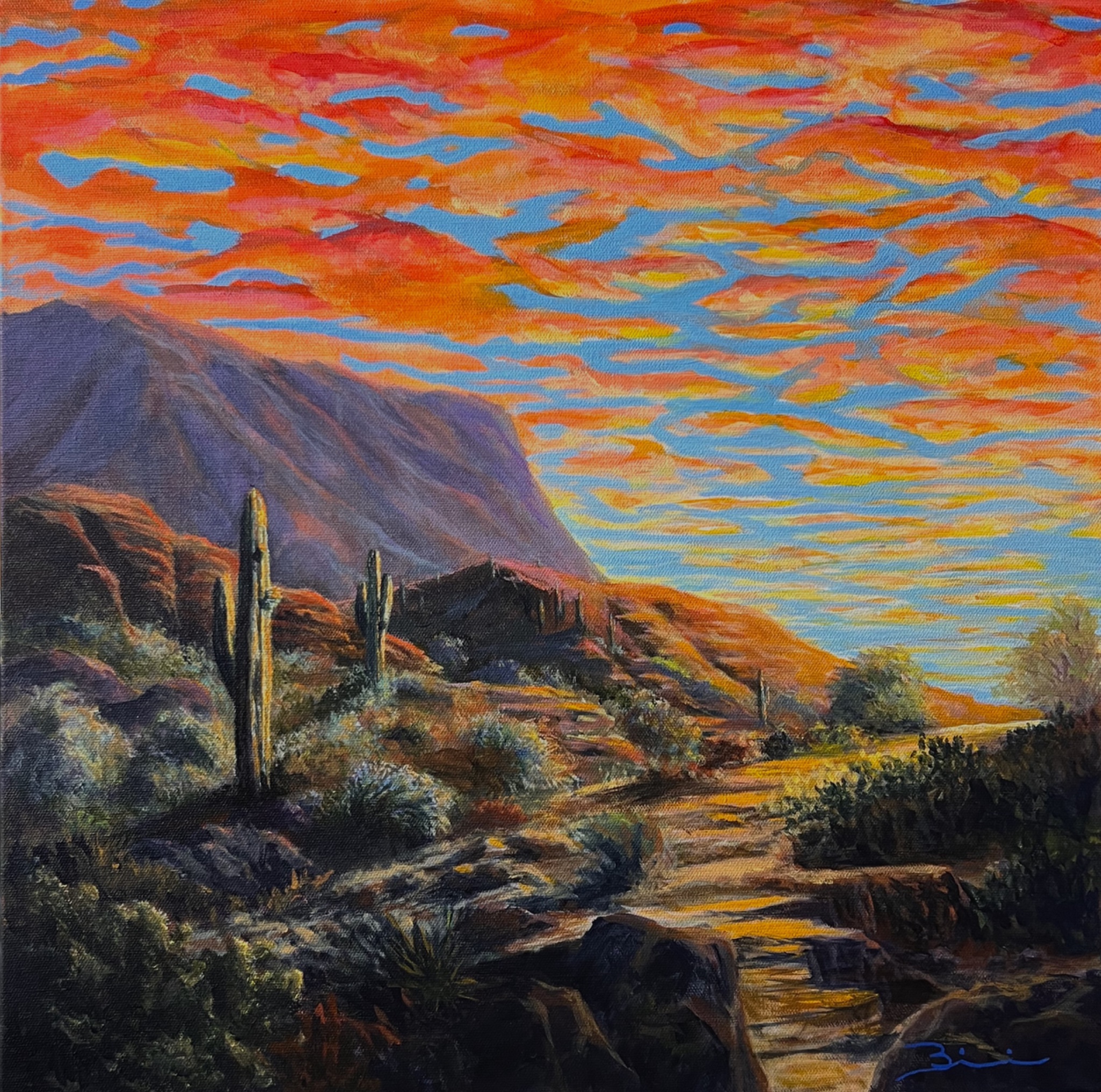 Dale Biscardi gallery 11