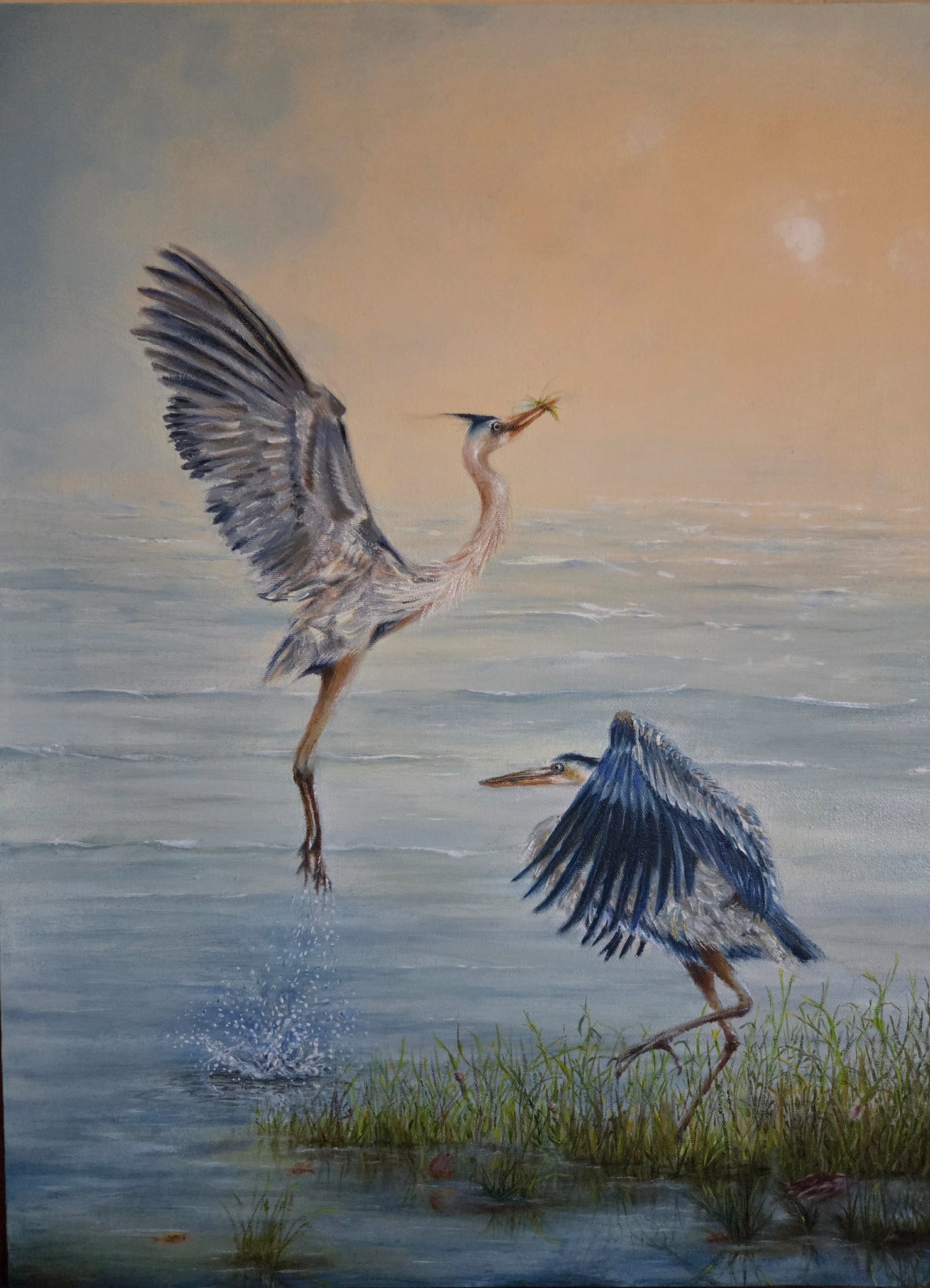 Two Herons at Dawn