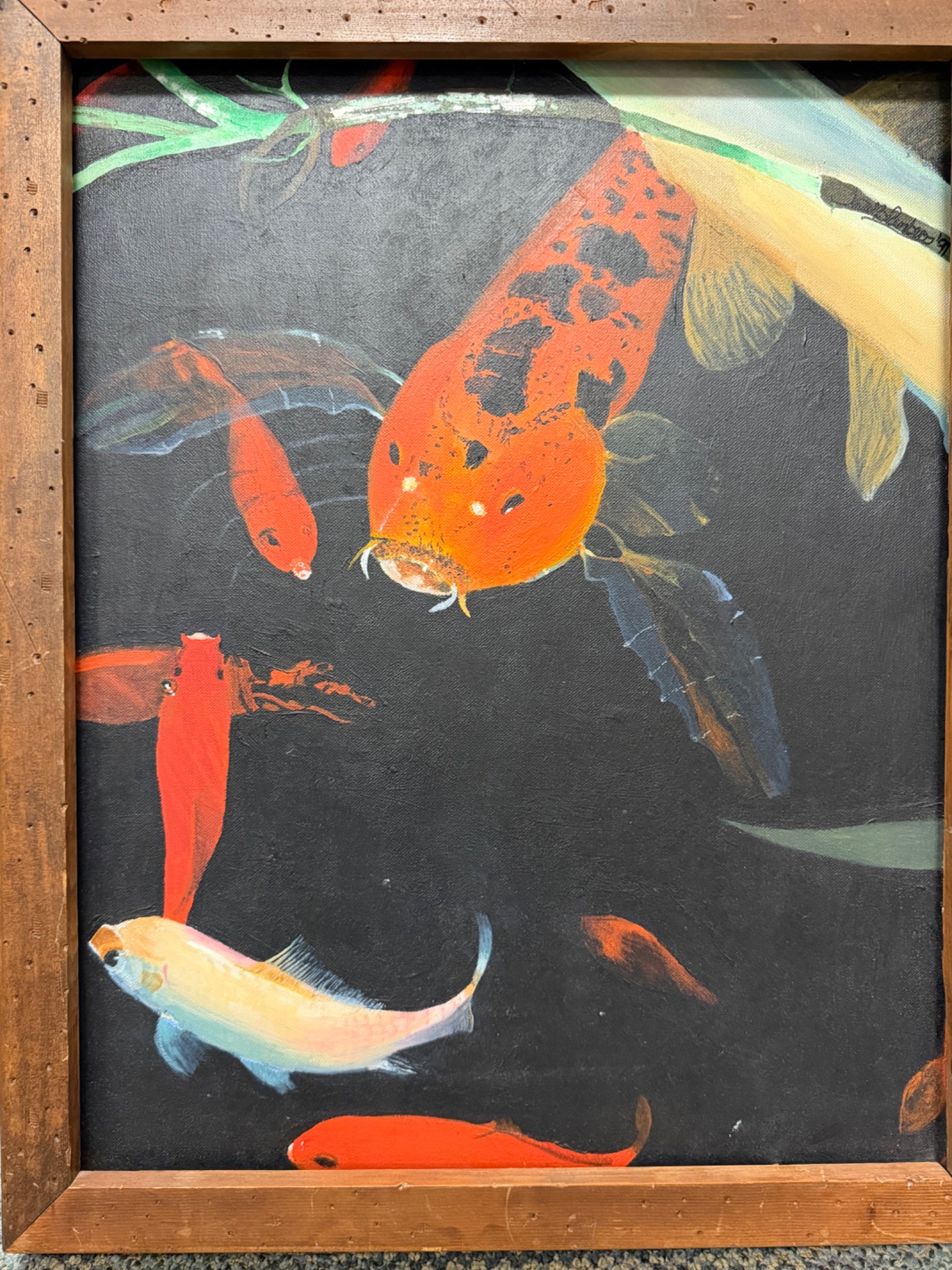 Koi