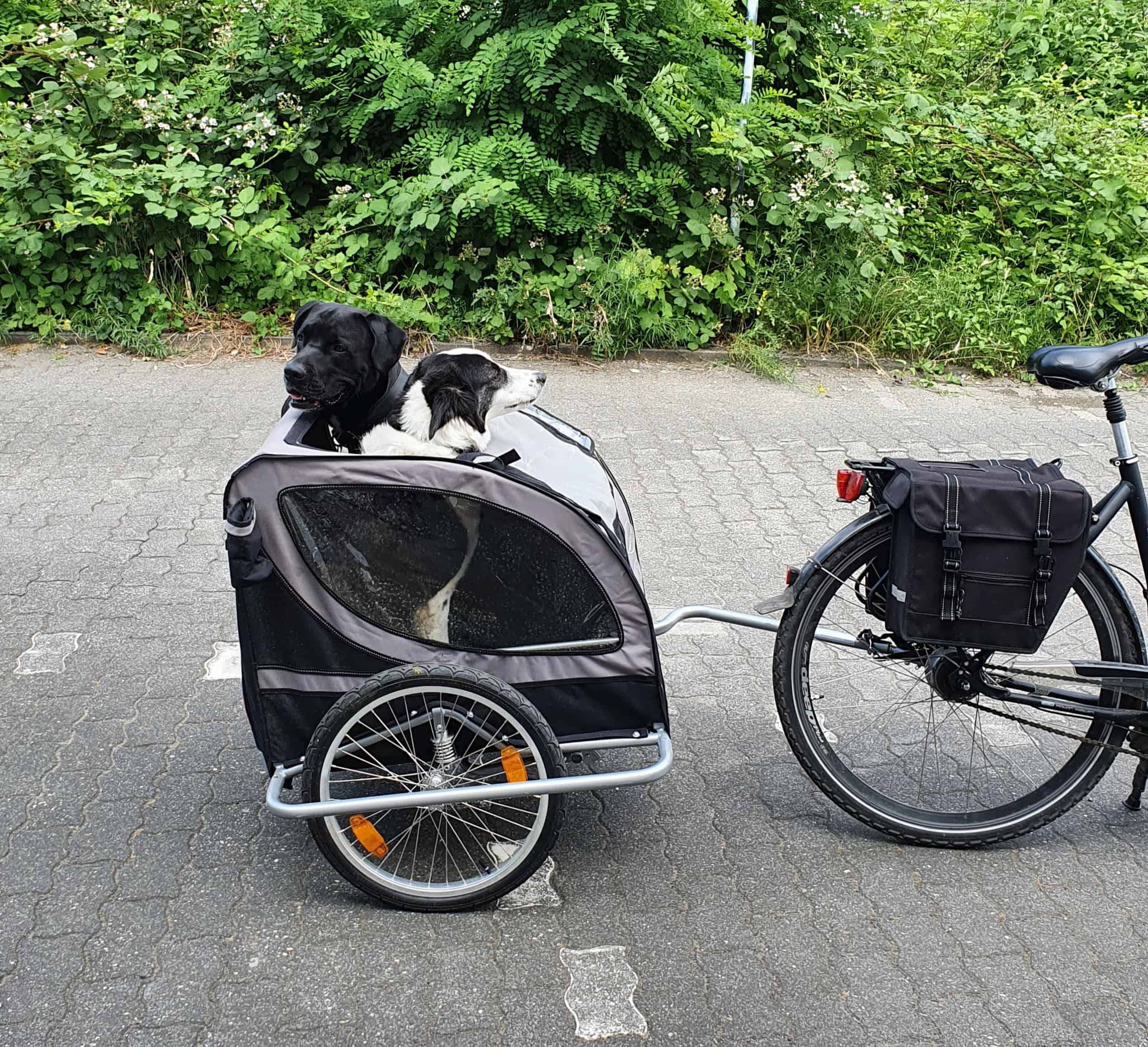 Bilderraster Inhalt