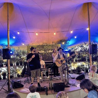 ALMA Acoustic