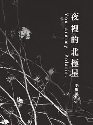 夜裡的北極星