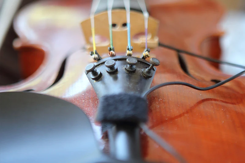 Musicisti