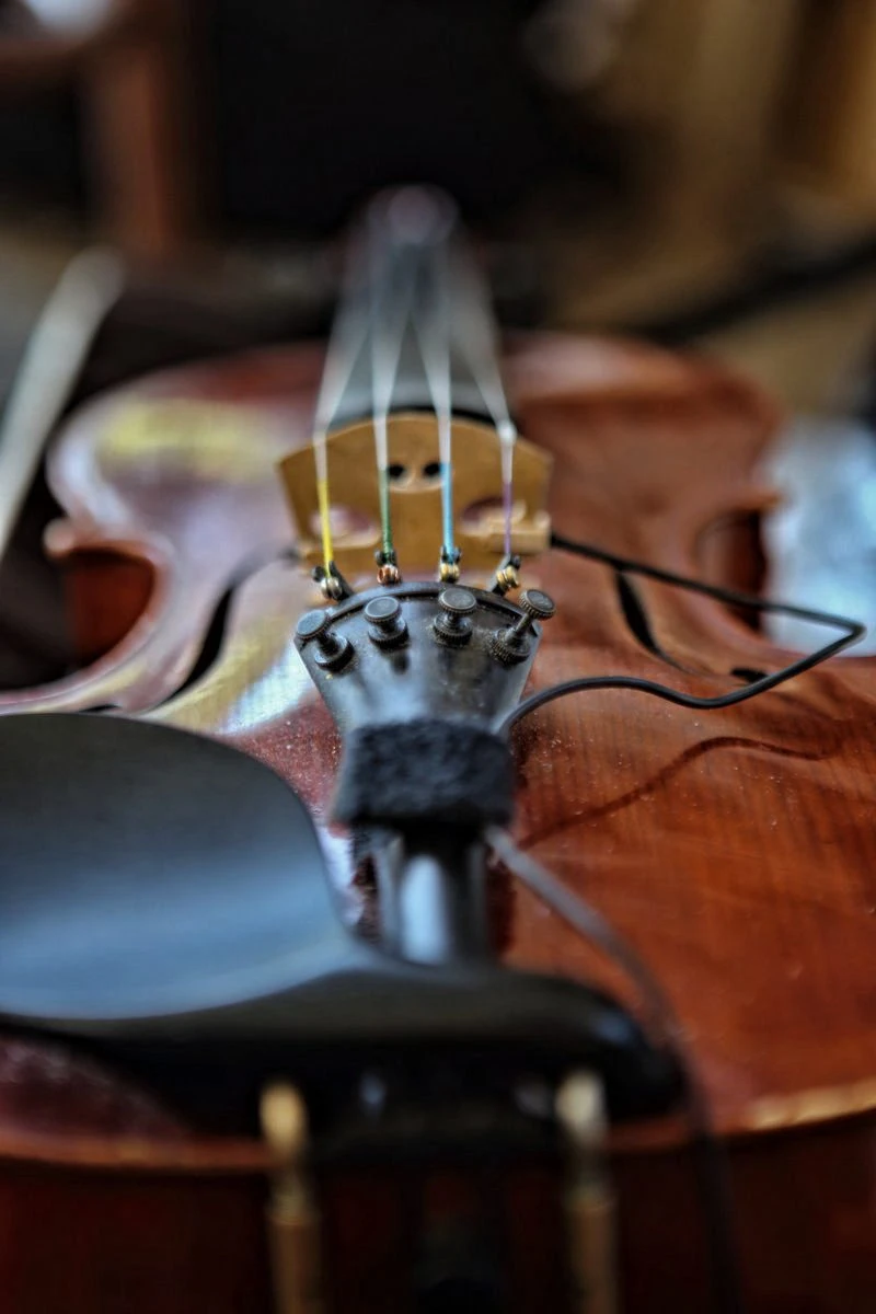 CONCERTI (8)