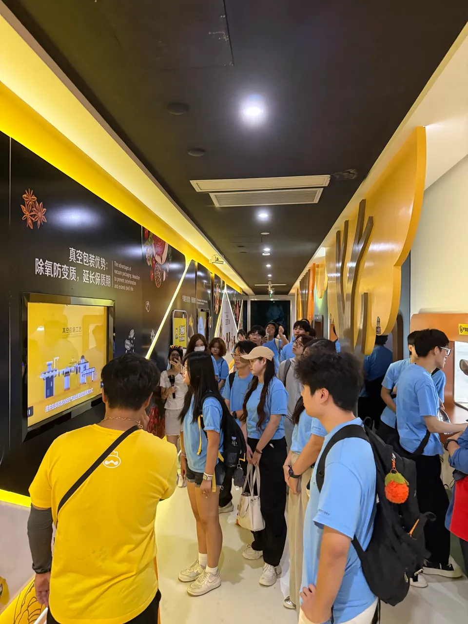 2026 藝航湖北香港大學生實習計劃