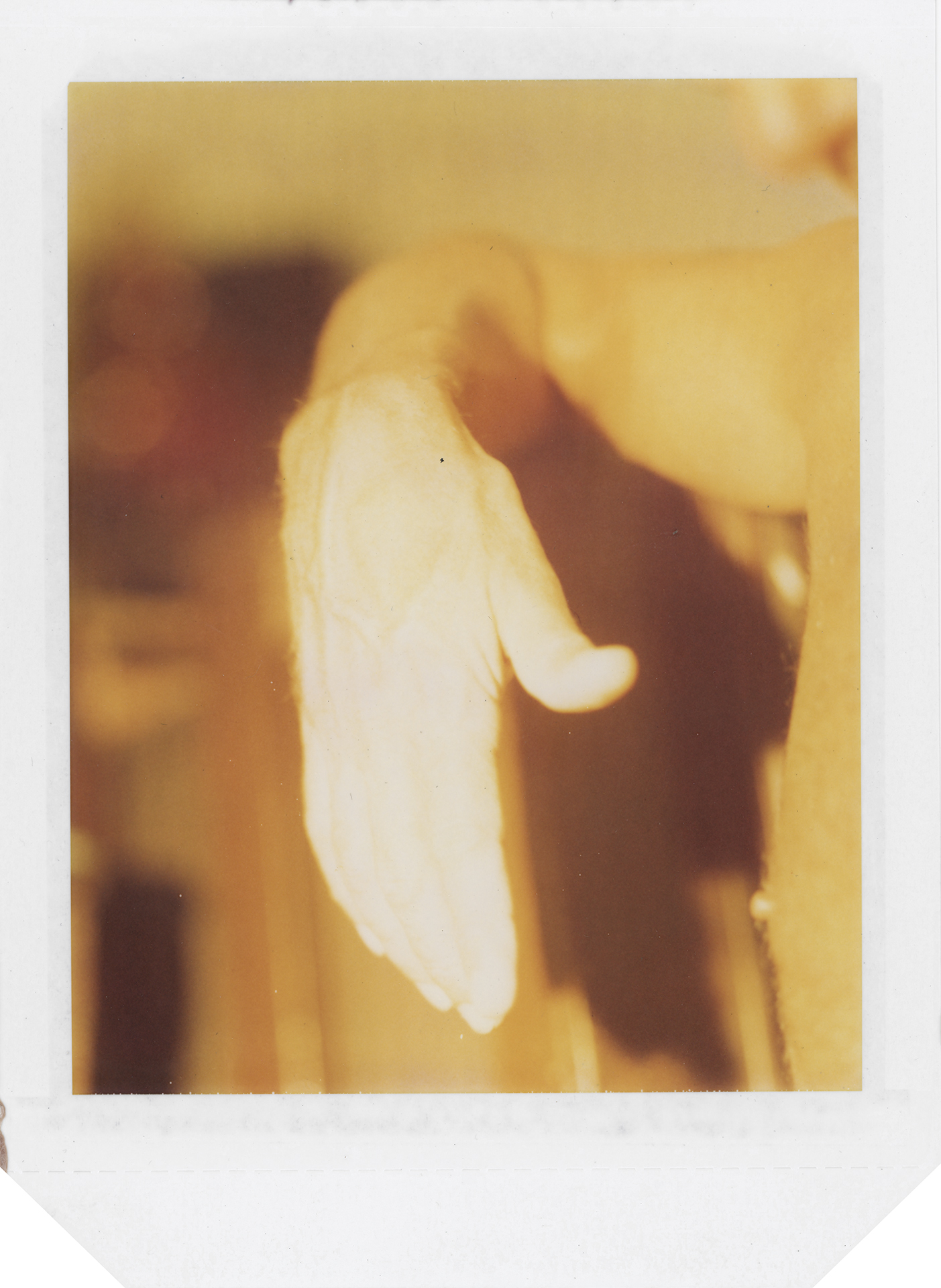 Studio Portrait no. 127 (Chris)