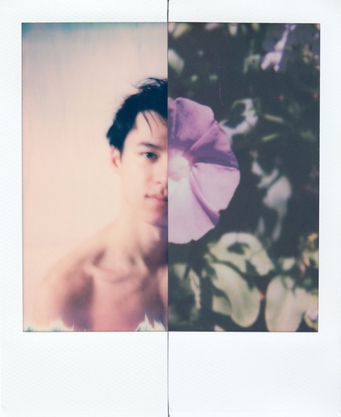 Polaroid Collage LXVI